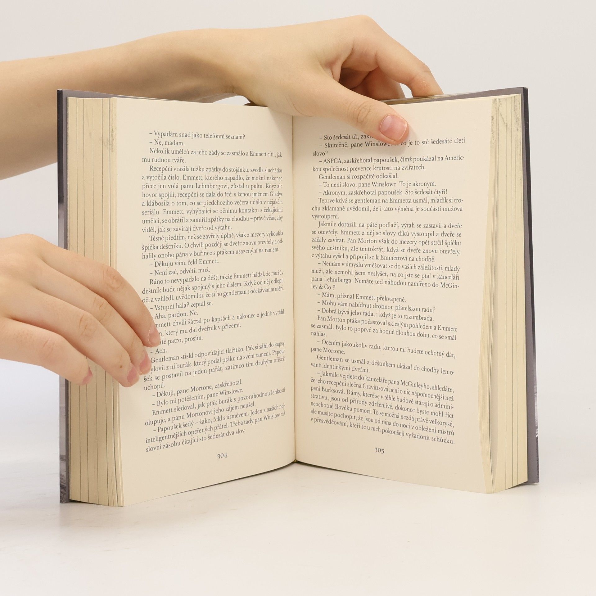 Amor Towles Lincolnova dálnice