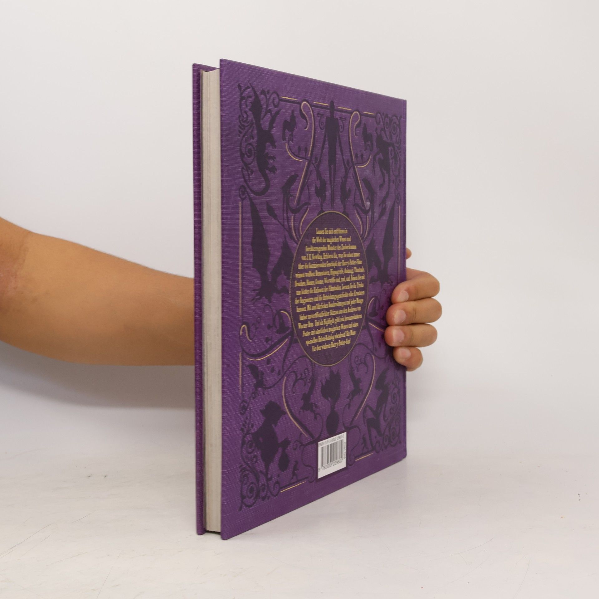 Jody Revenson Harry Potter - die Welt der magischen Wesen