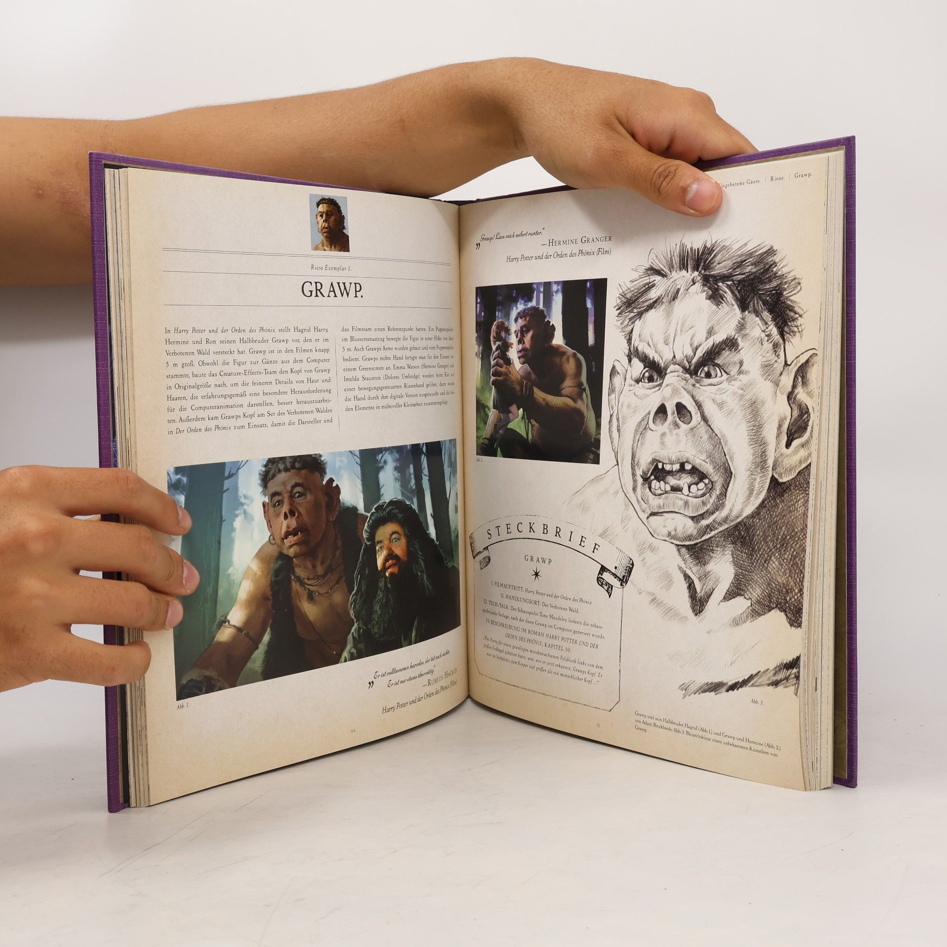 Jody Revenson Harry Potter - die Welt der magischen Wesen
