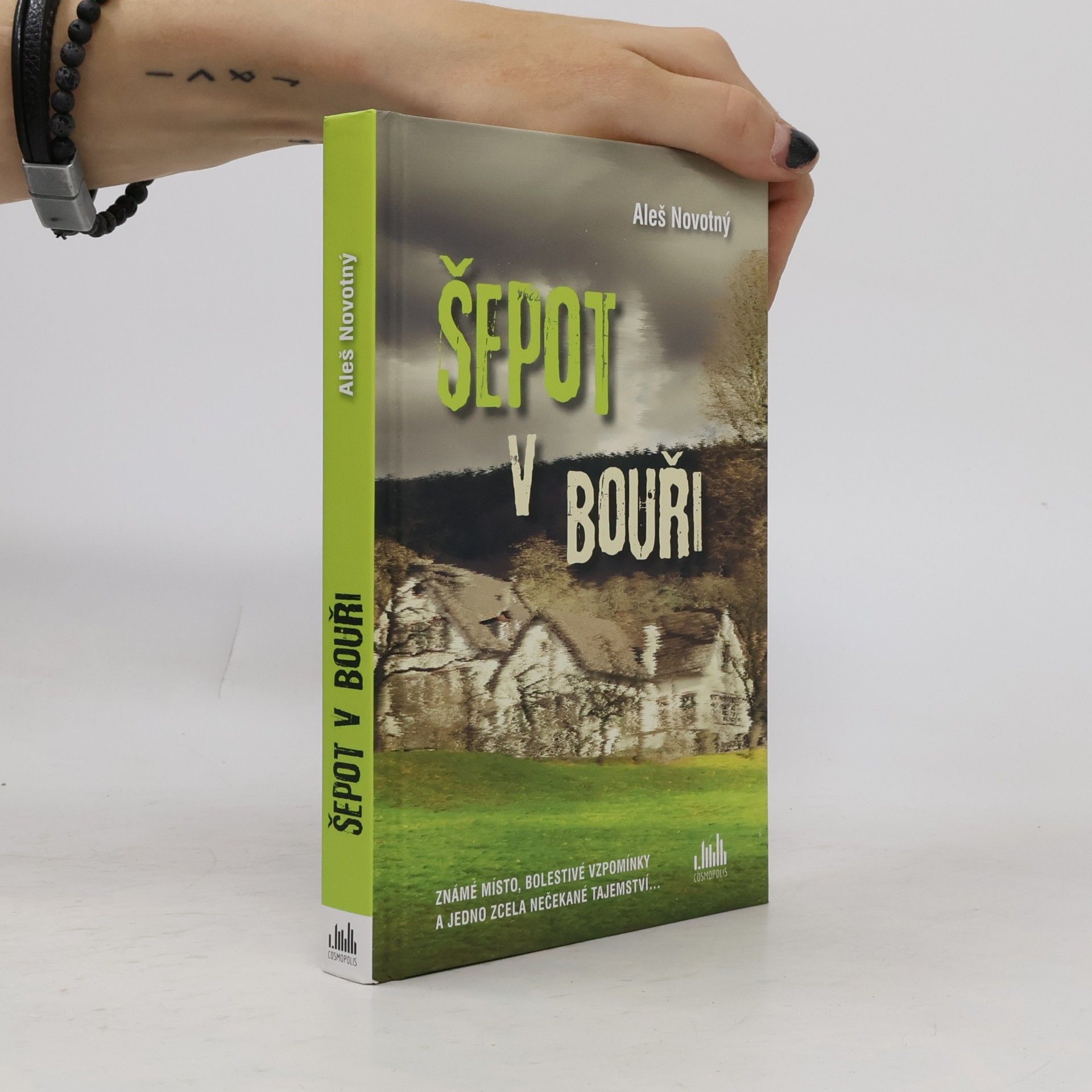 Aleš Novotný Šepot v bouři