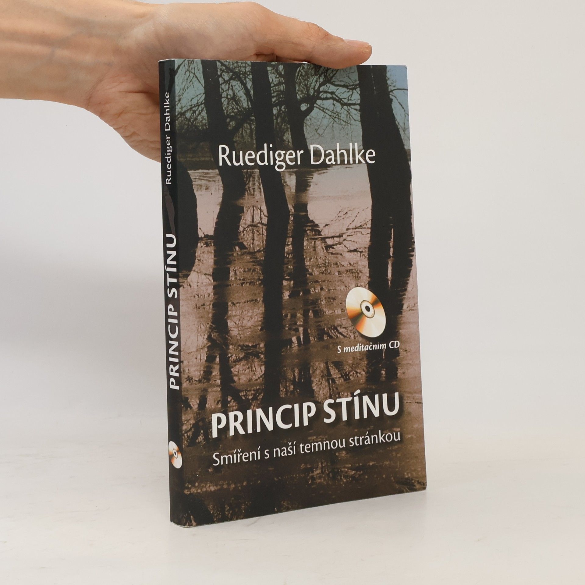 Ruediger Dahlke Princip stínu: Smíření s naší temnou stránkou
