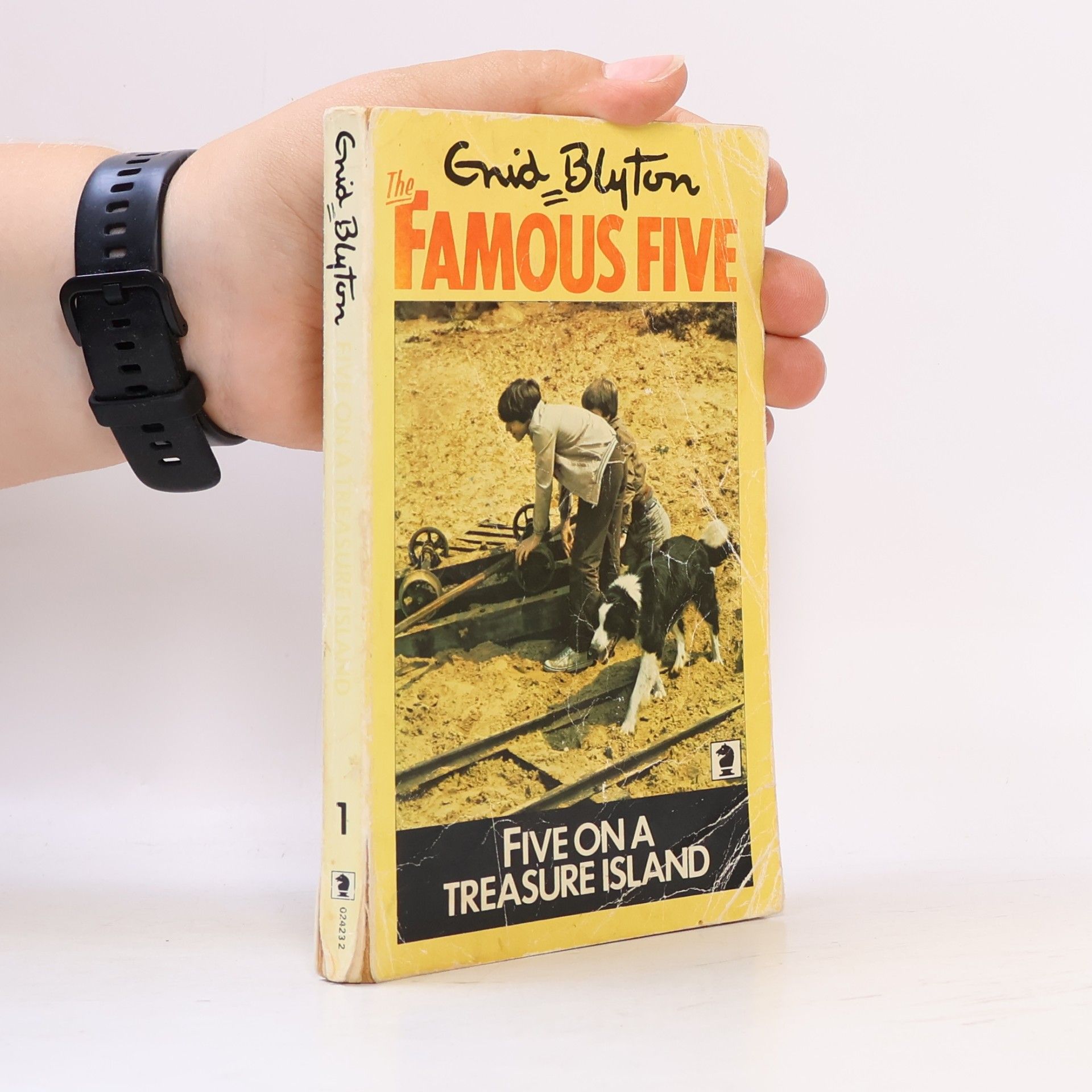 Five on a Treasure Island