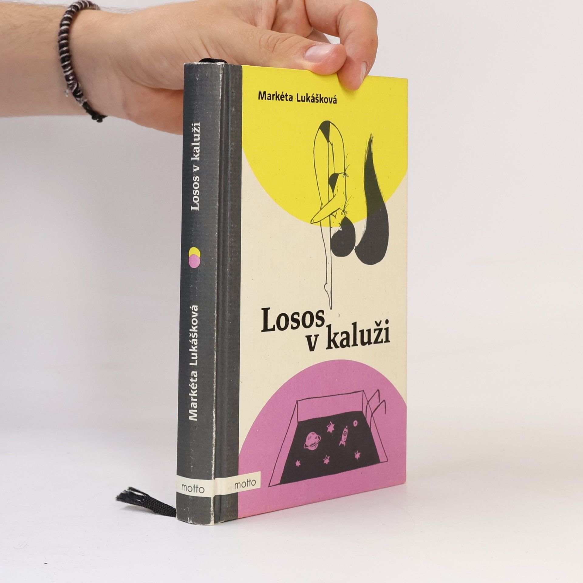 Markéta Lukášková Losos v kaluži
