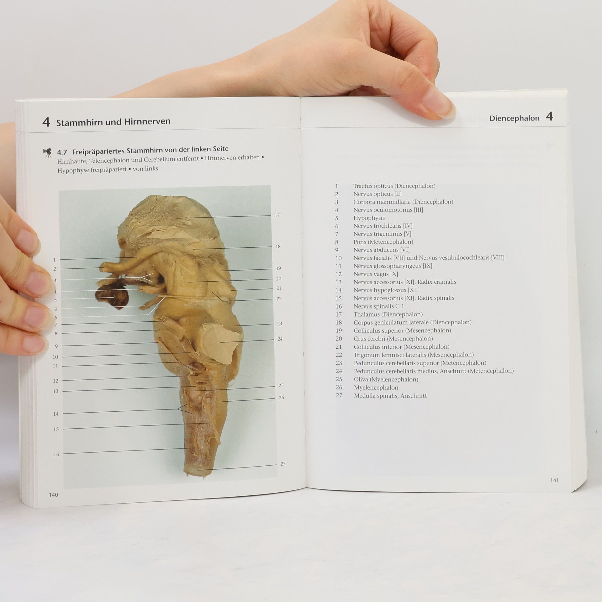 Klaus Peter Valerius Fotoatlas Neuroanatomie
