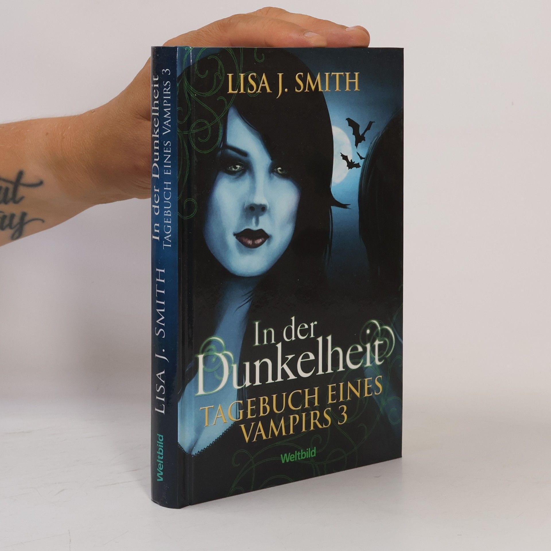 L. J. Smithová  In der Dunkelheit
