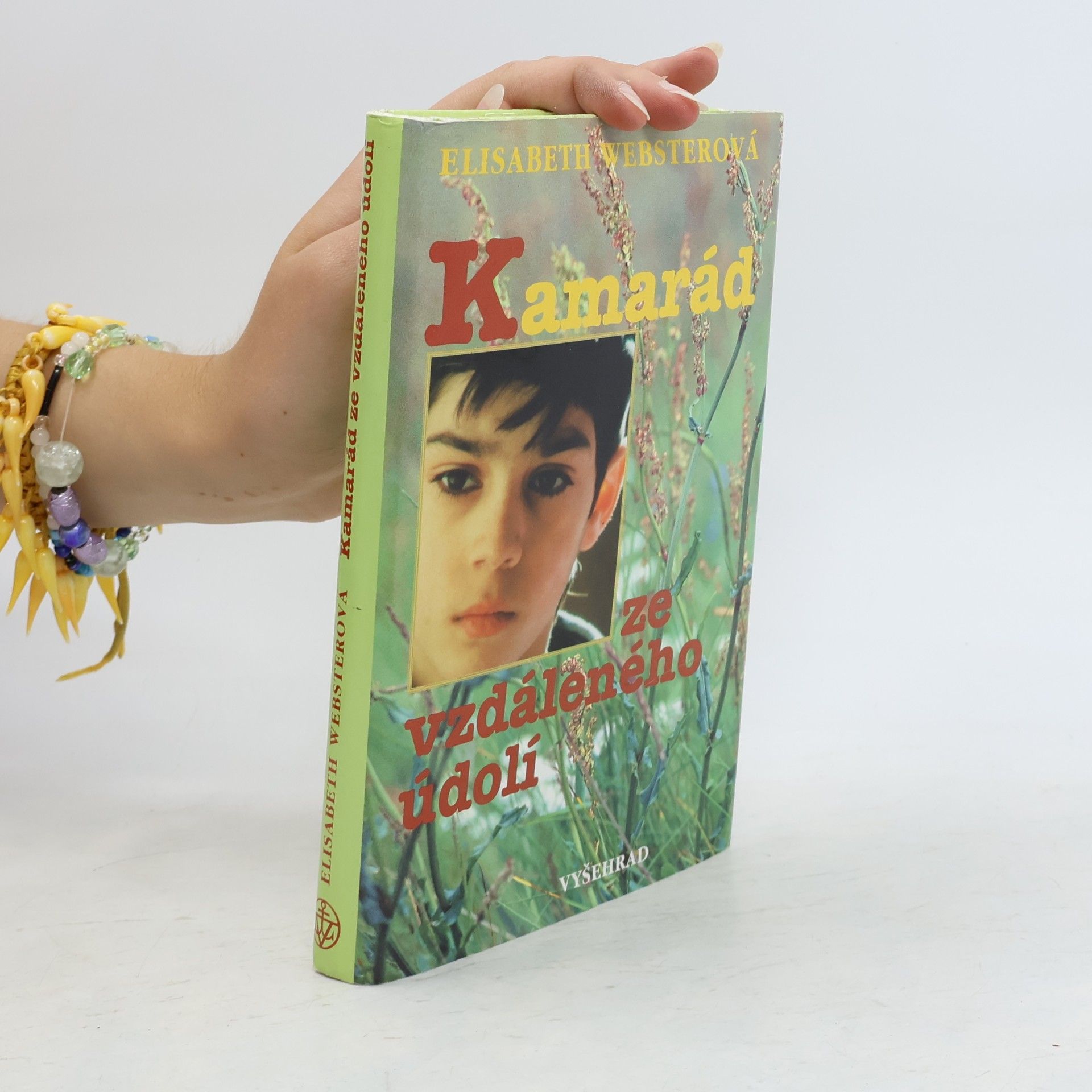 Elizabeth Webster Kamarád ze vzdáleného údolí