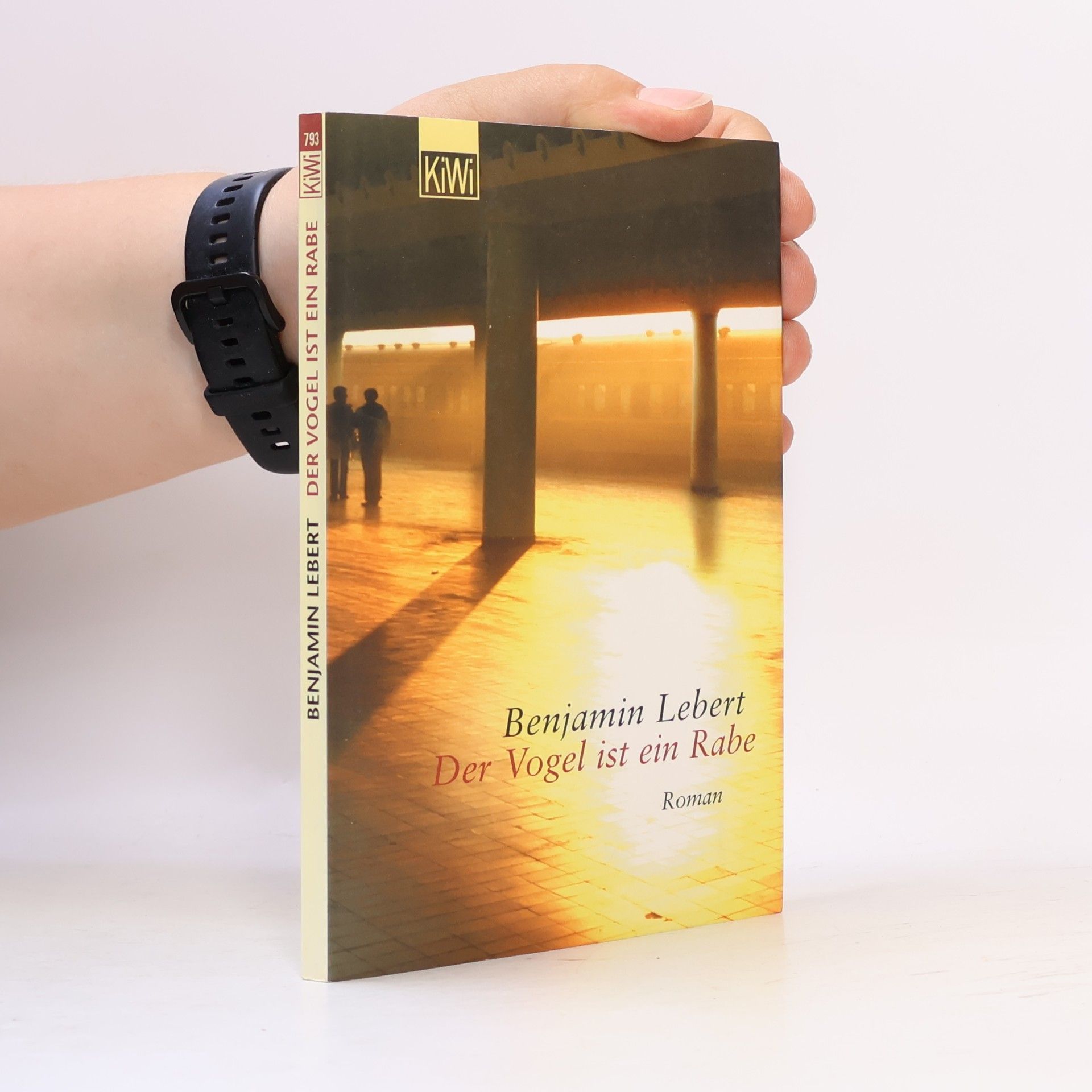 Benjamin Lebert Der Vogel ist ein Rabe