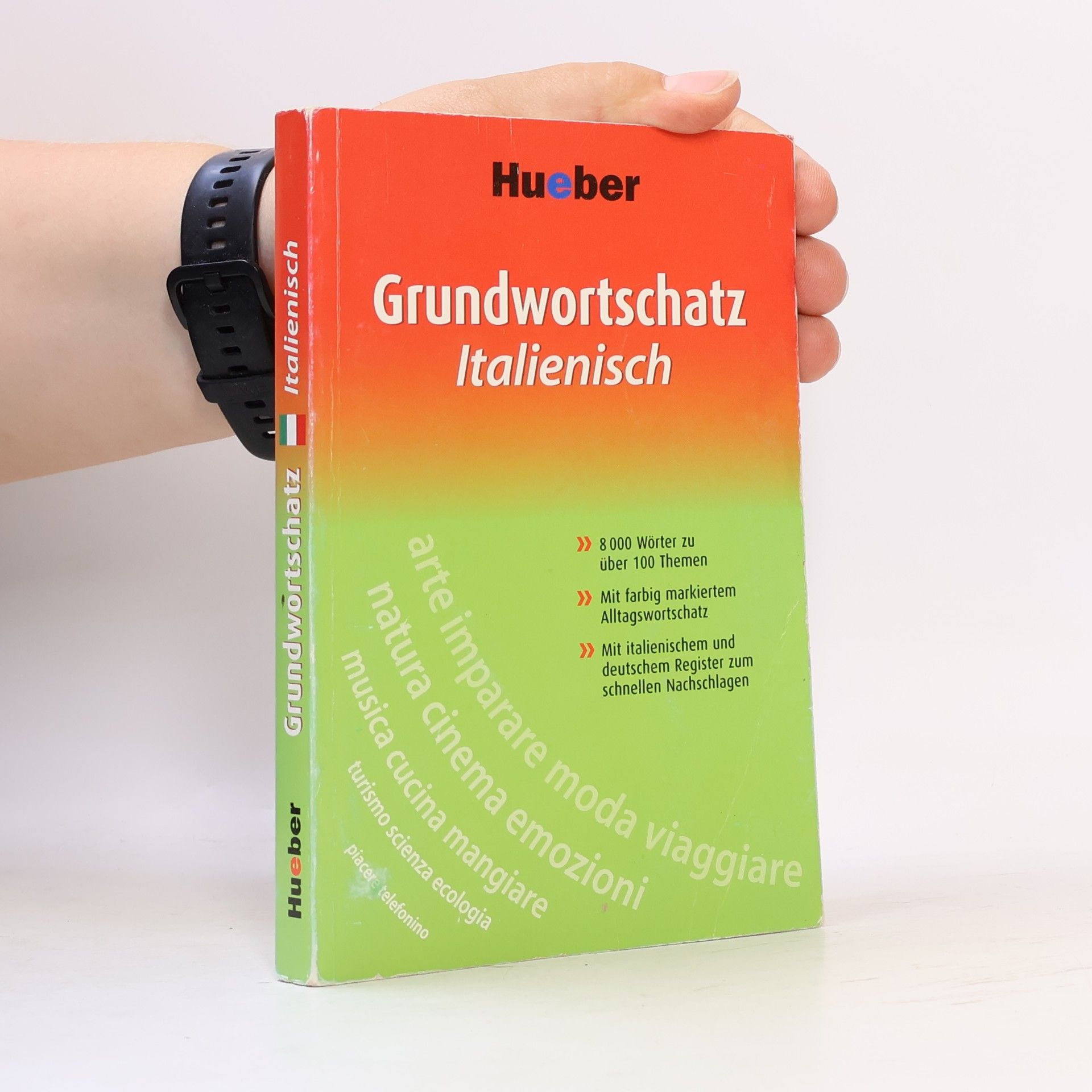 Stefano Albertini Grundwortschatz Italienisch