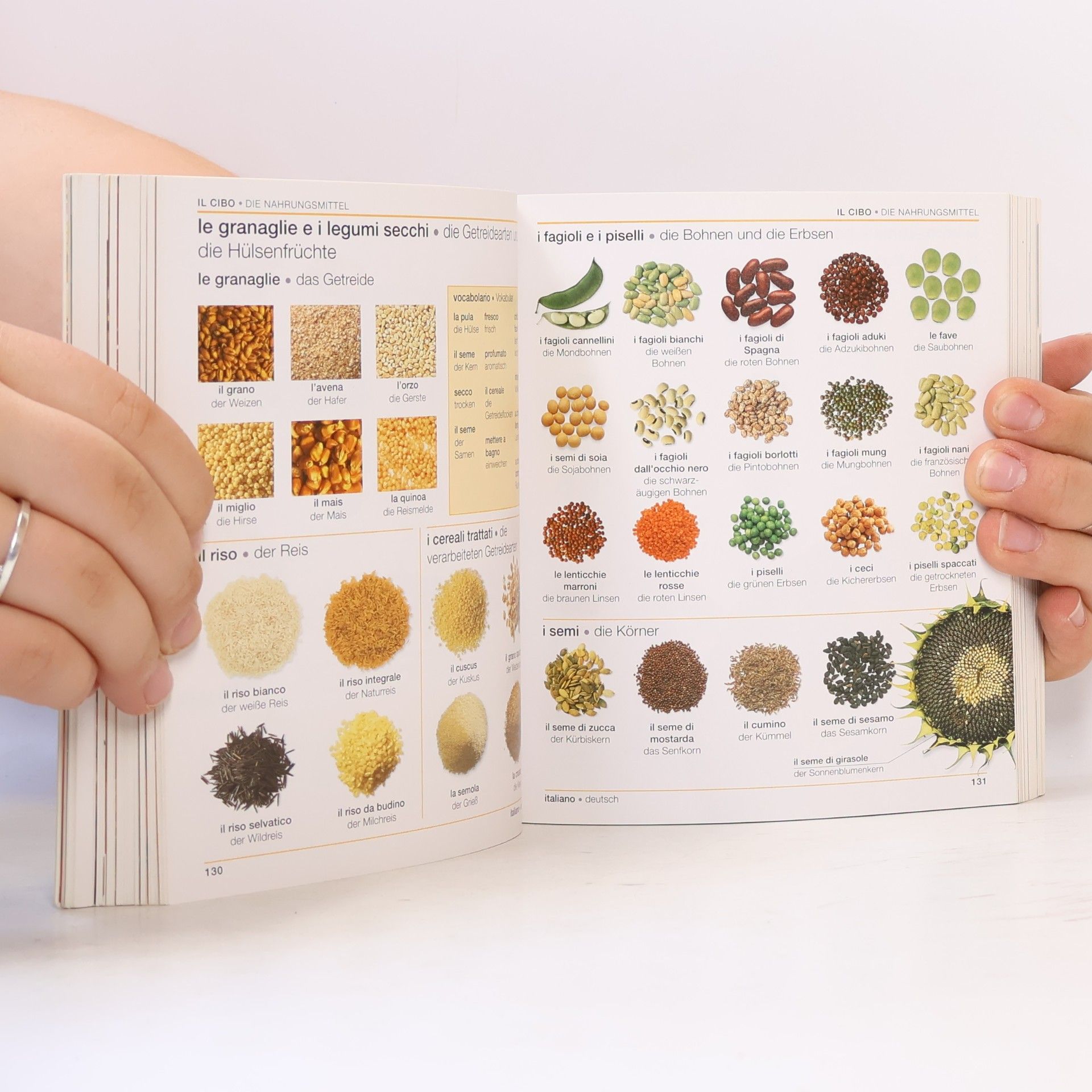 Christine Arthur Visuelles Wörterbuch Italienisch-Deutsch
