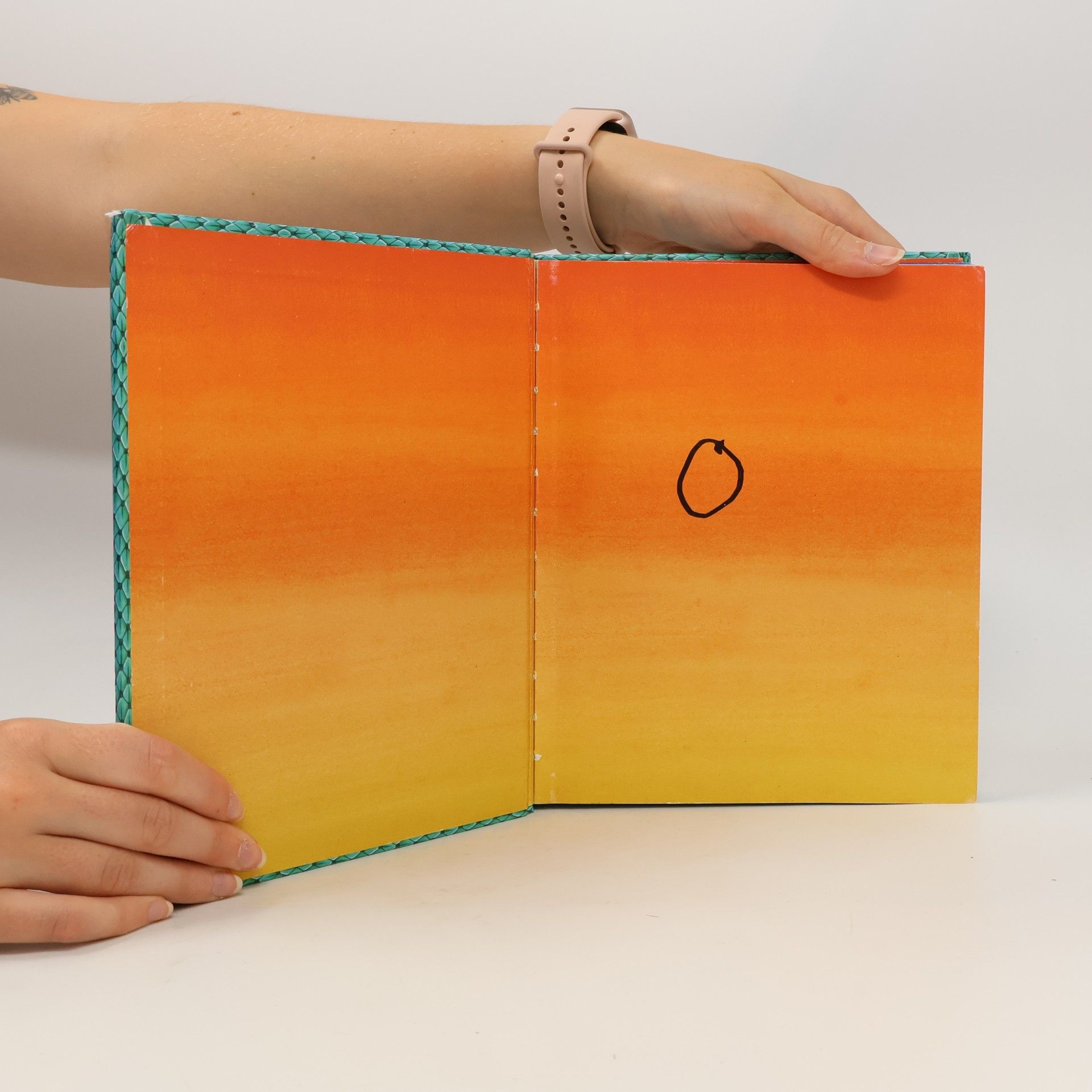 Christine Sagnier Dein buntes Wörterbuch Drachen