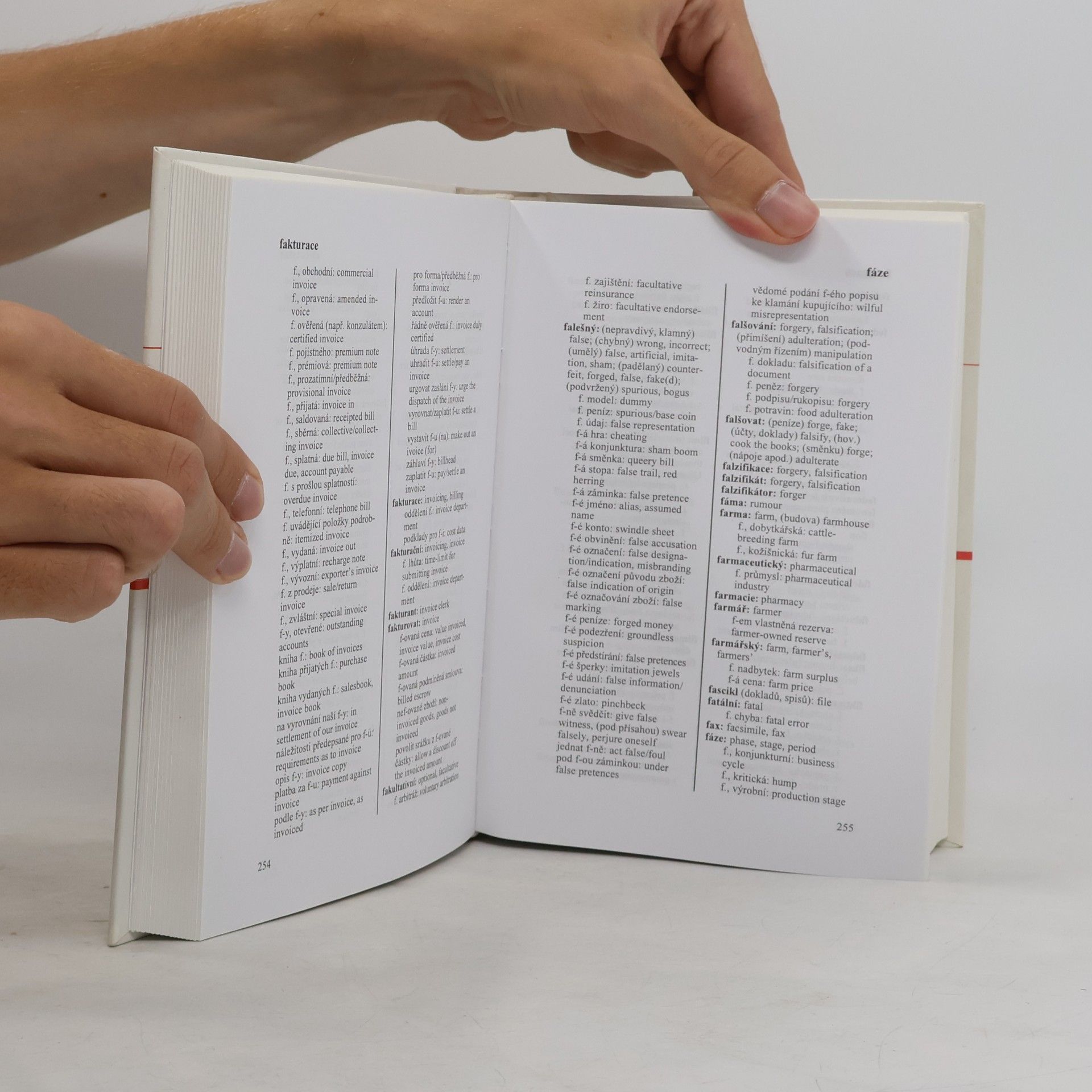 Autorenkollektiv Odborný česko-anglický slovník z oblasti ekonomické, obchodní, finanční a právní