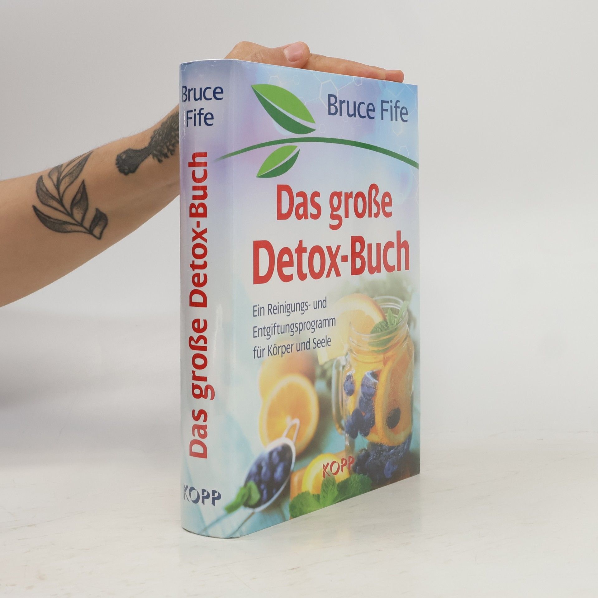 Bruce Fife Das große Detox-Buch