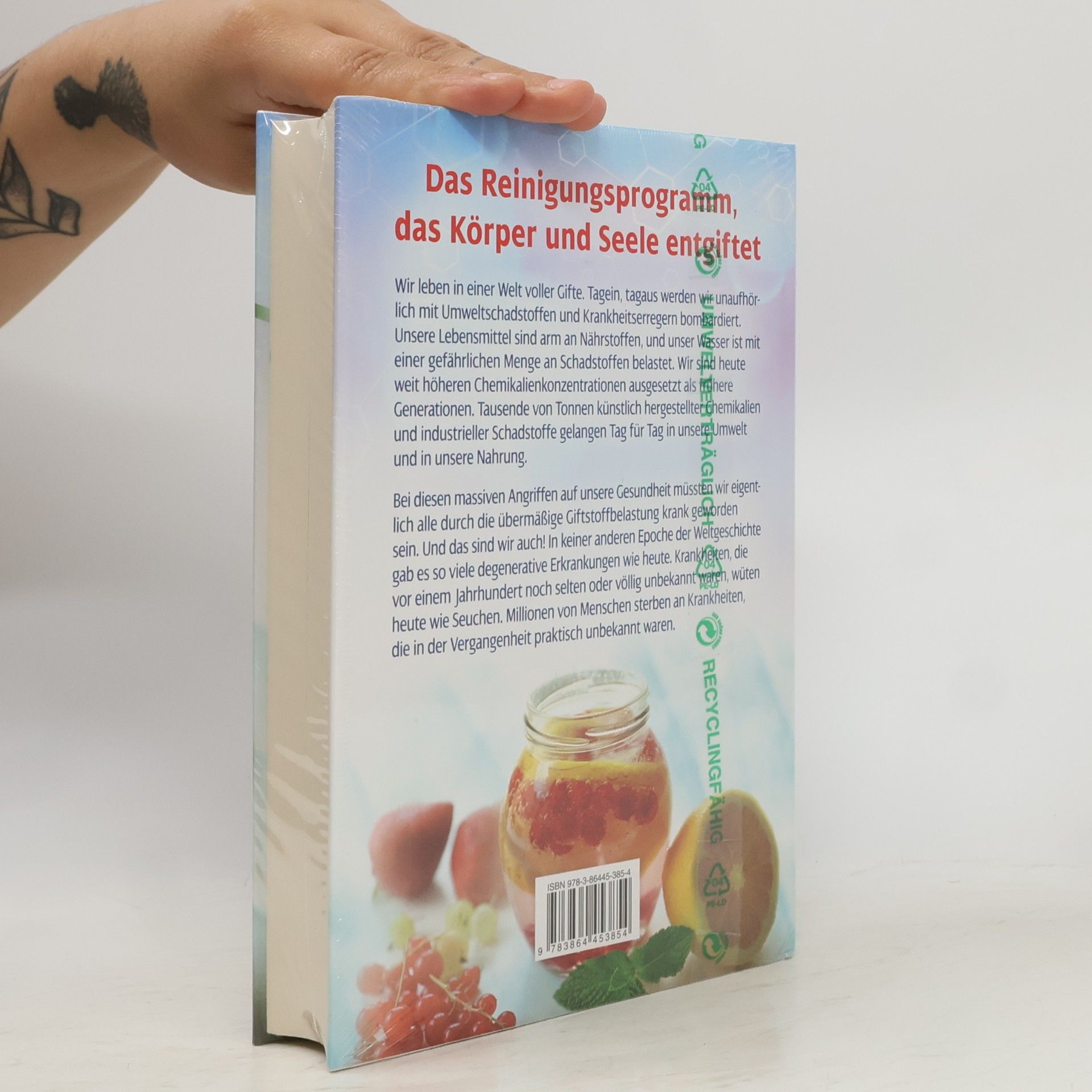 Bruce Fife Das große Detox-Buch