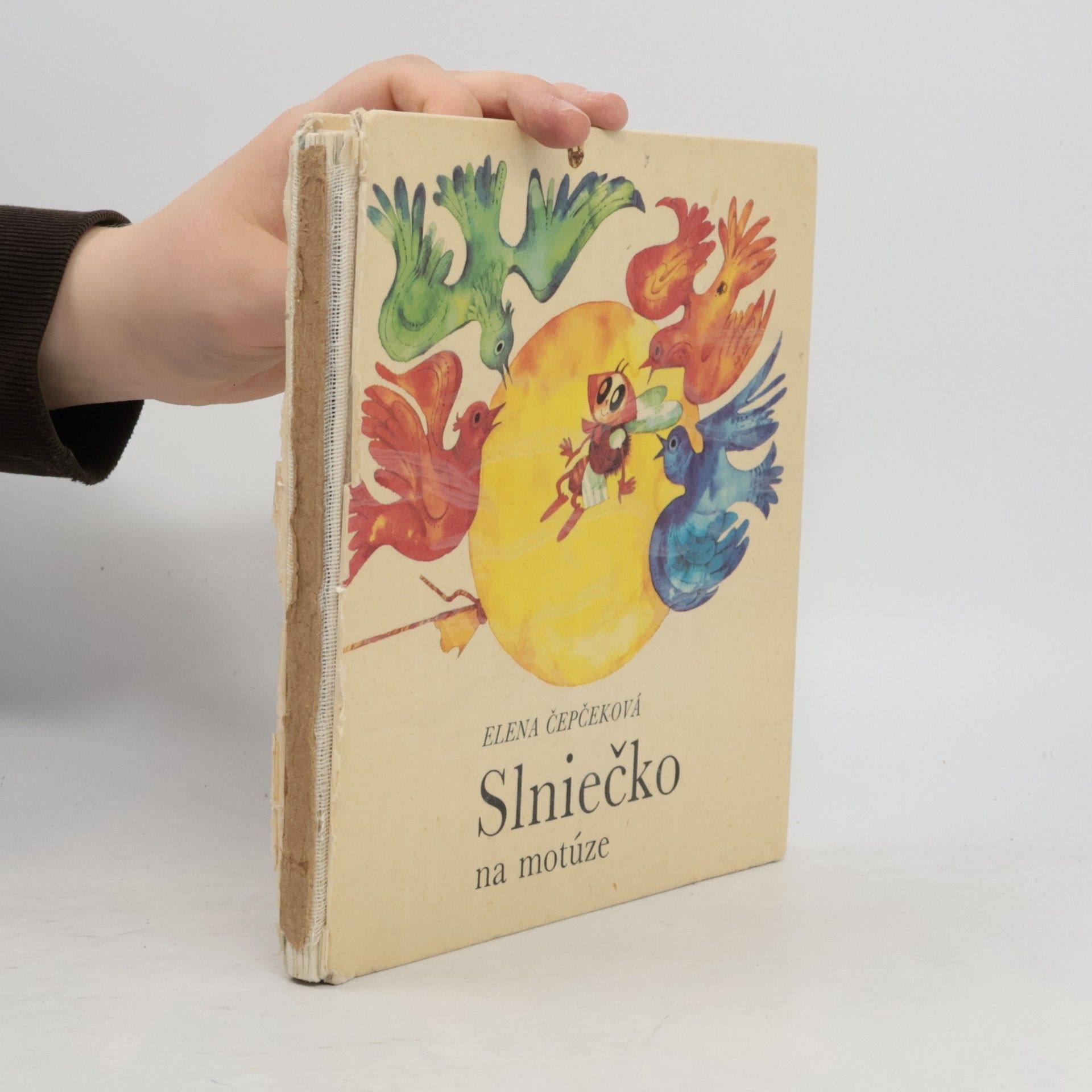 Elena Čepčeková Slniečko na motúze