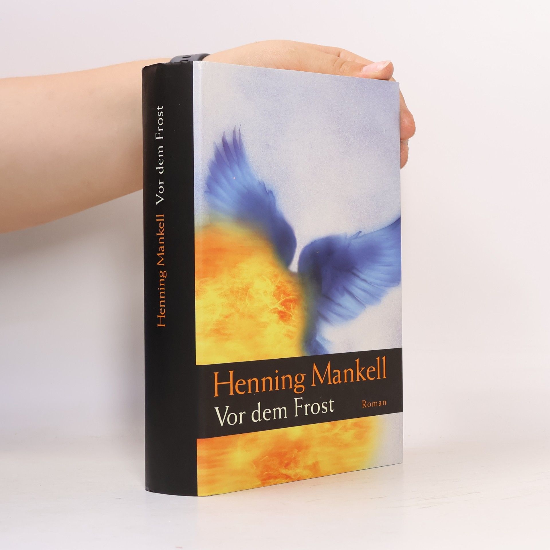 Henning Mankell Vor dem Frost