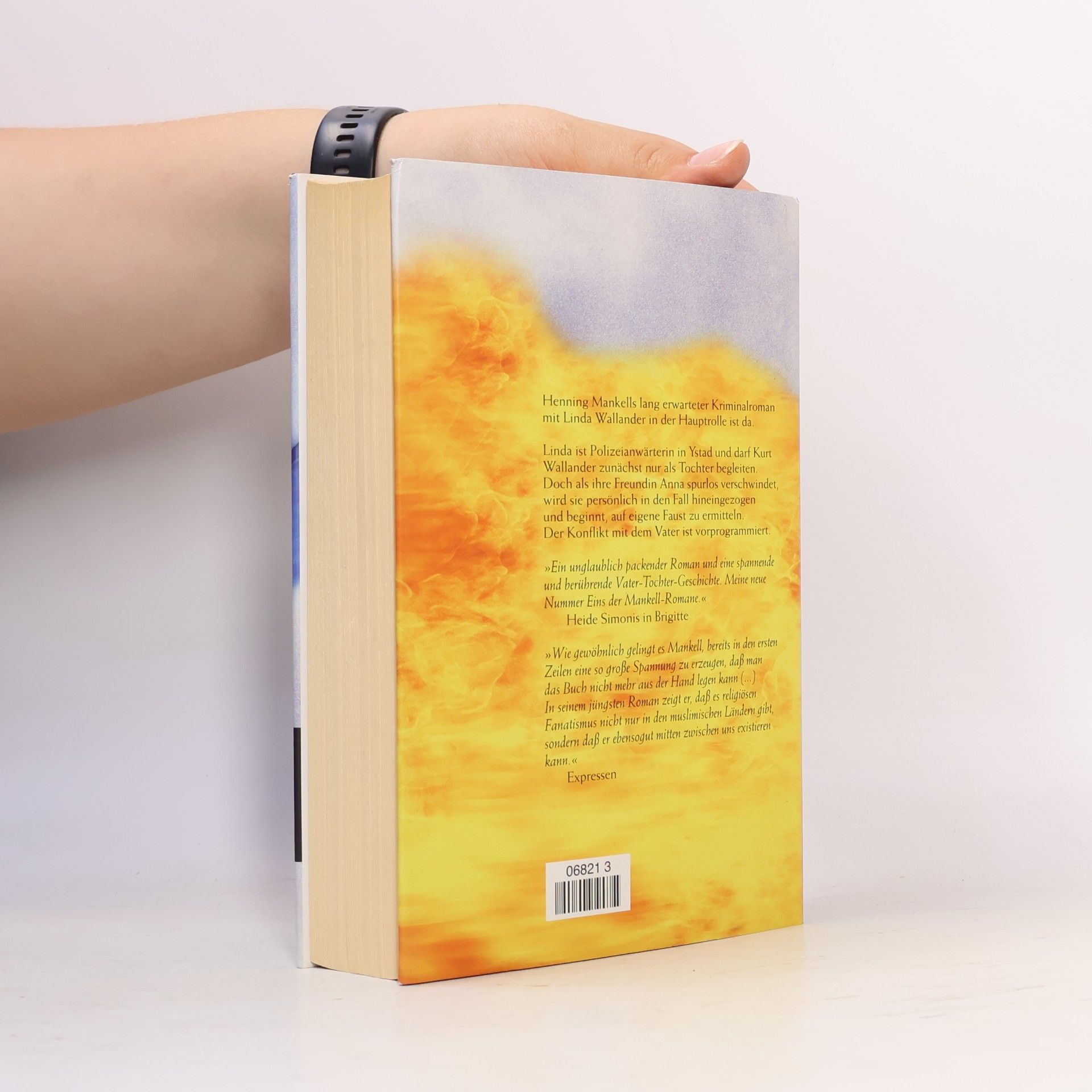 Henning Mankell Vor dem Frost