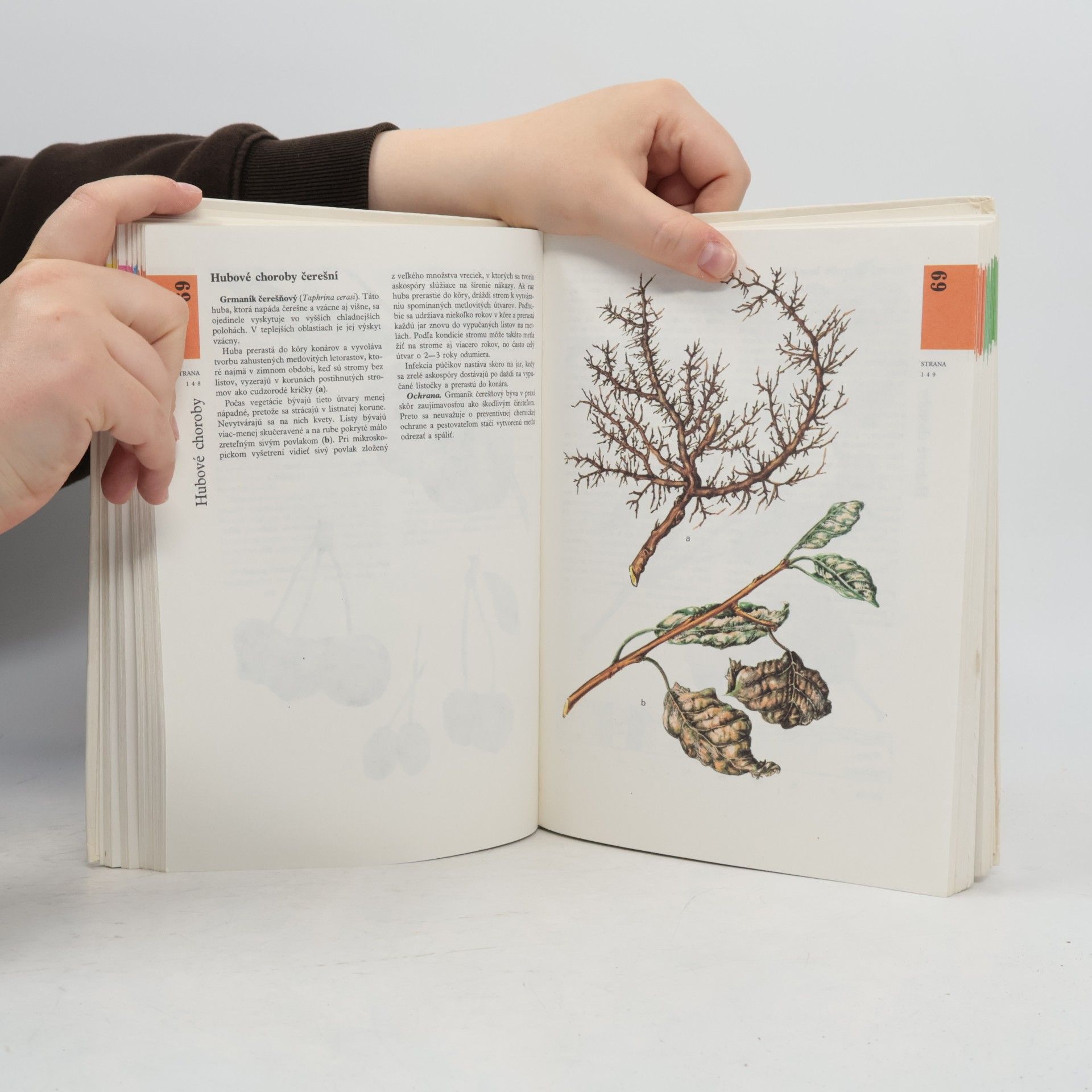 Gašpar Vanek Atlas chorôb a škodcov ovocných drevín a viniča