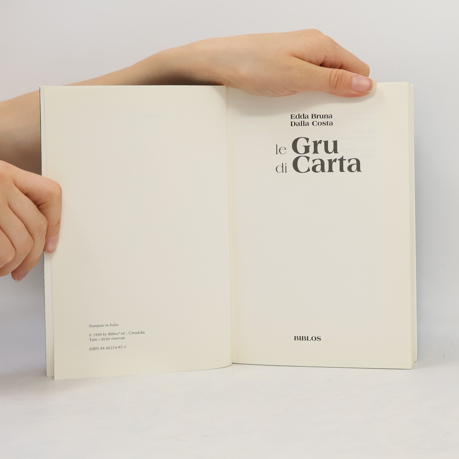 Edda Bruna Dalla Costa I leoni: Le gru di carta