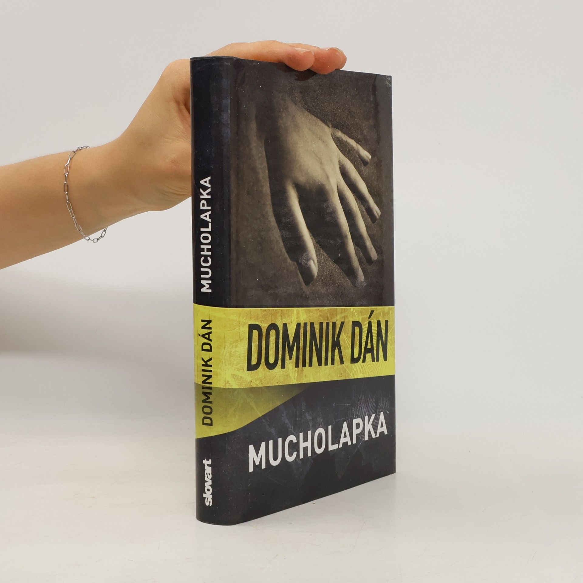 Dominik Dán Mucholapka