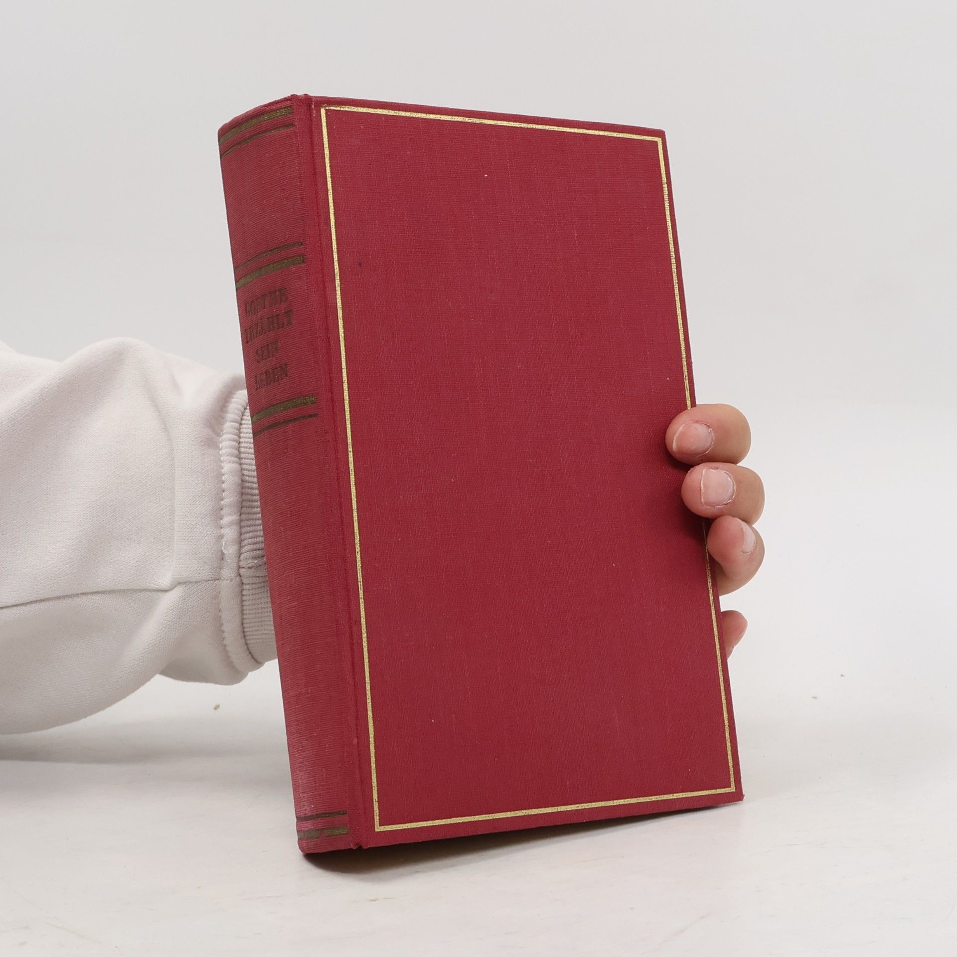 Goethe erzählt sein Leben