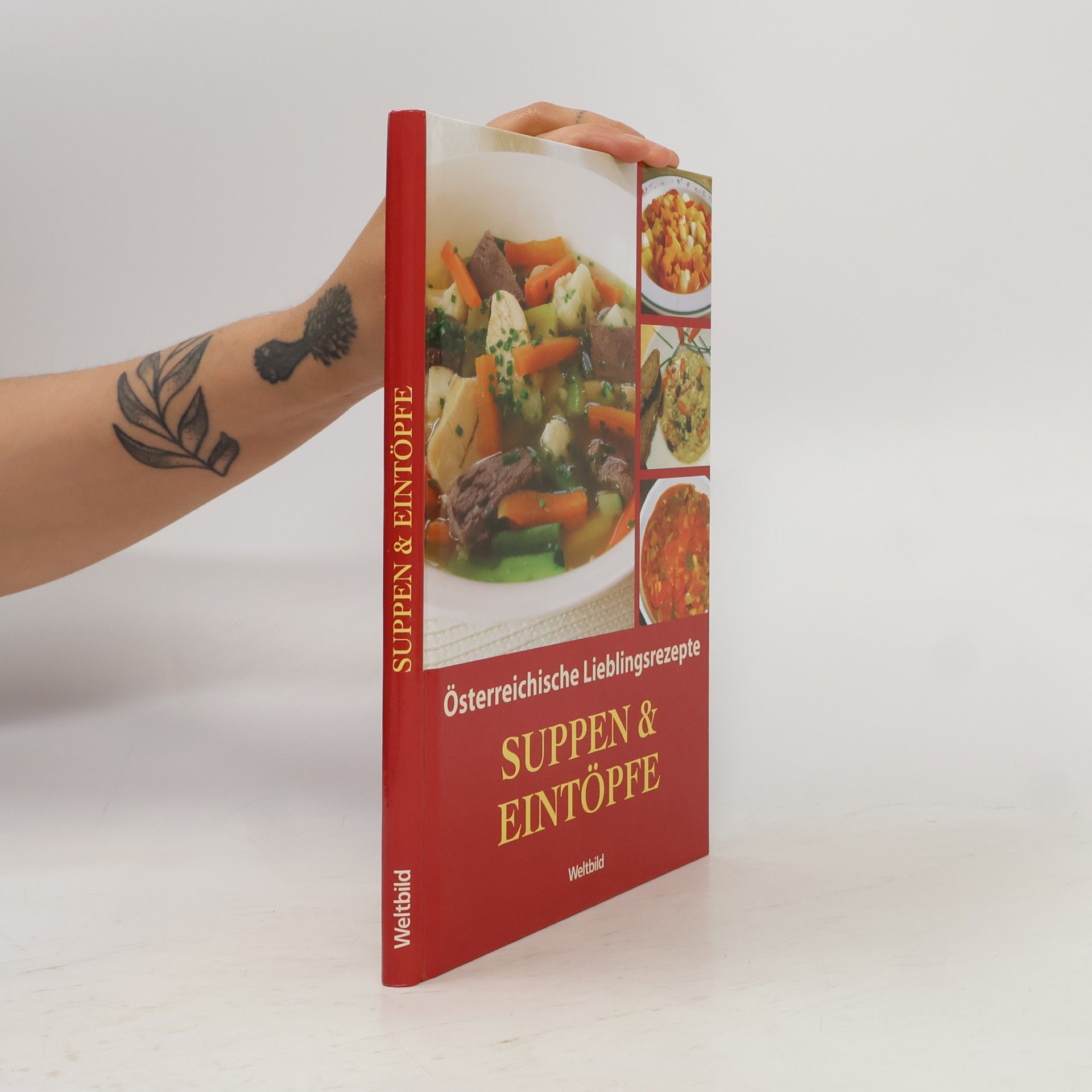 Collectif d'auteurs Suppen & Eintöpfe