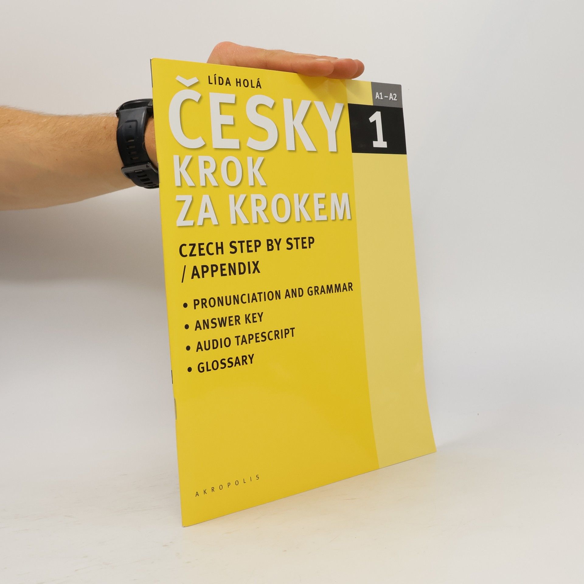 Lída Holá Česky krok za krokem 1. A1-A2 příloha