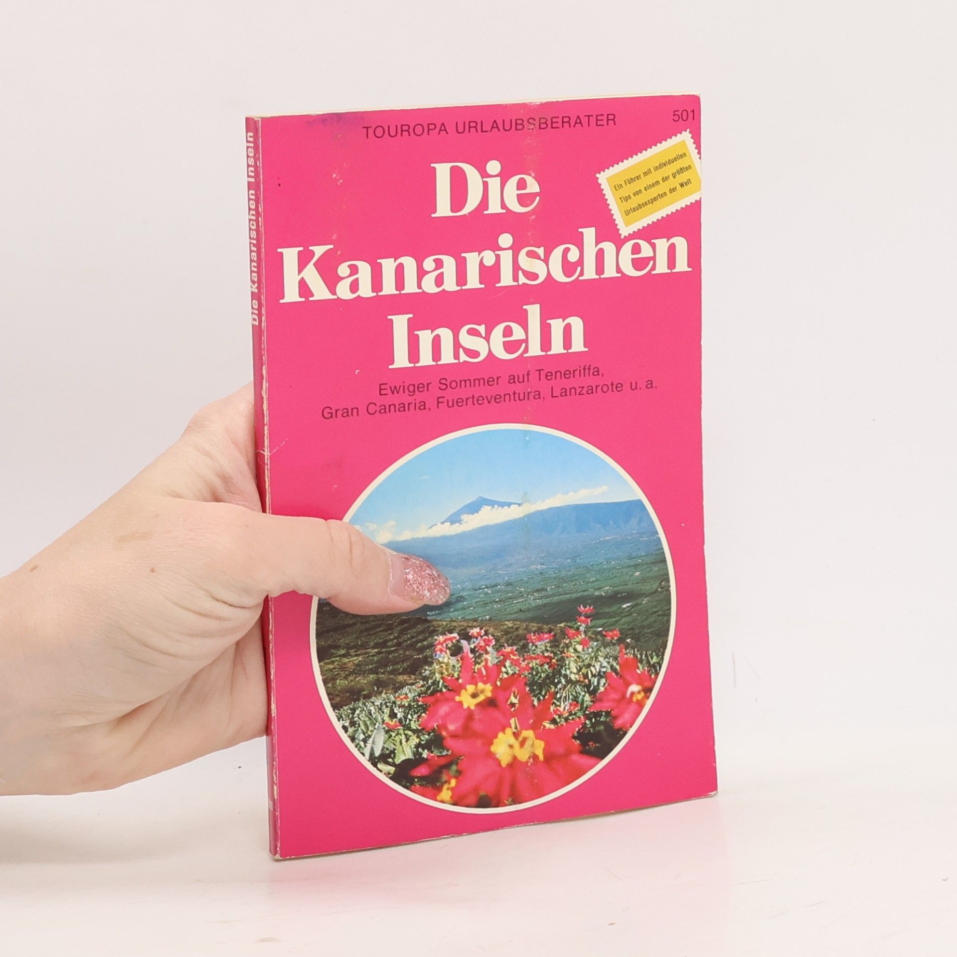 Effi Horn Die Kanarischen Inseln