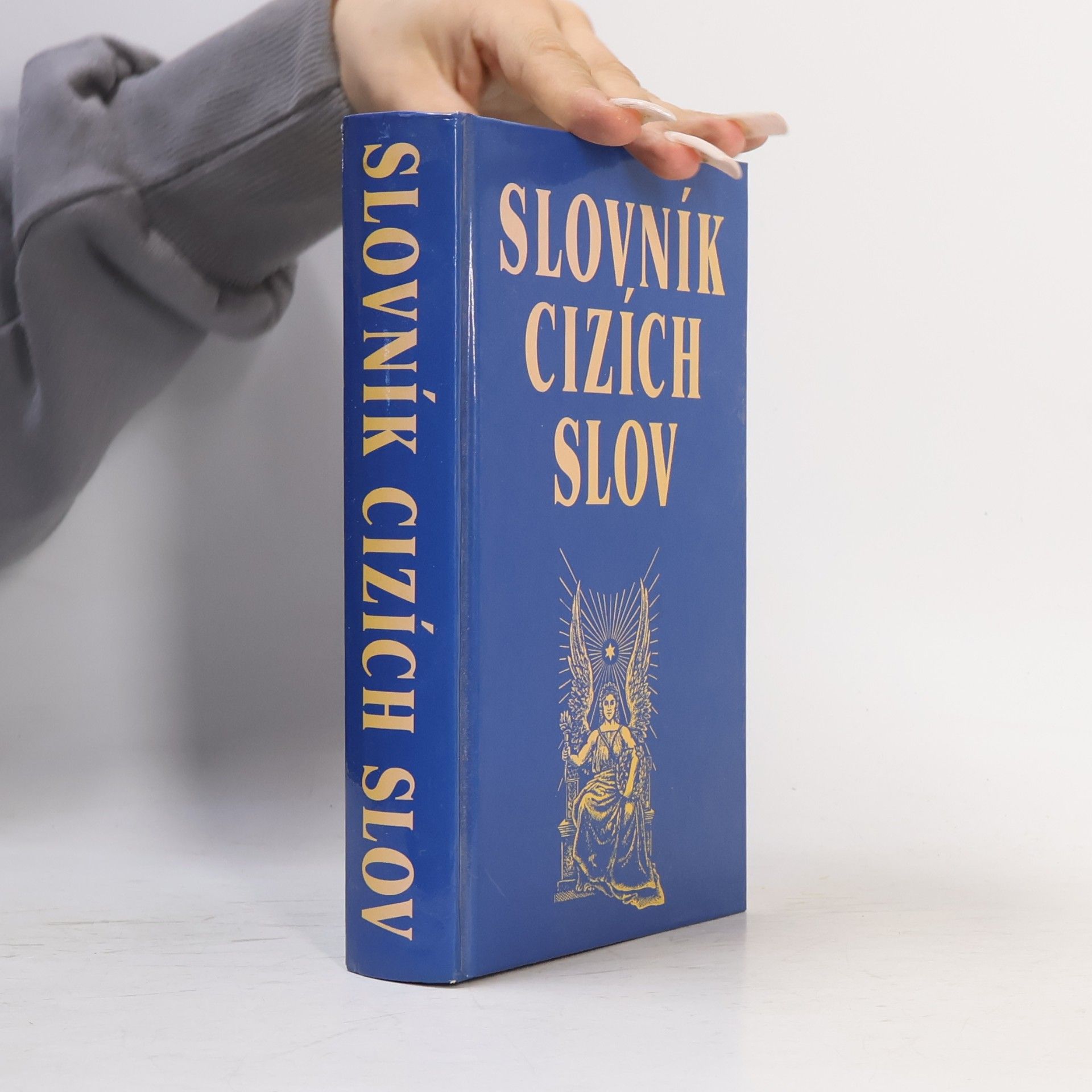 Autorenkollektiv Slovník cizích slov