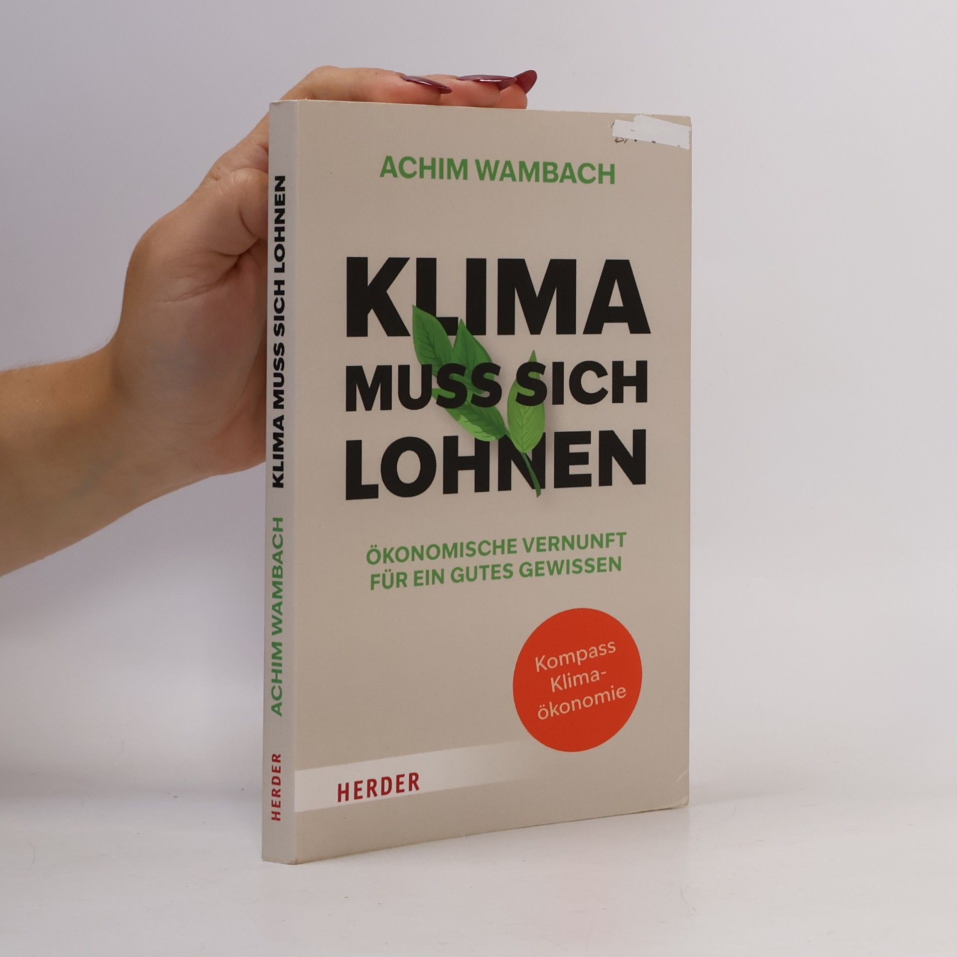 Achim Wambach Klima muss sich lohnen