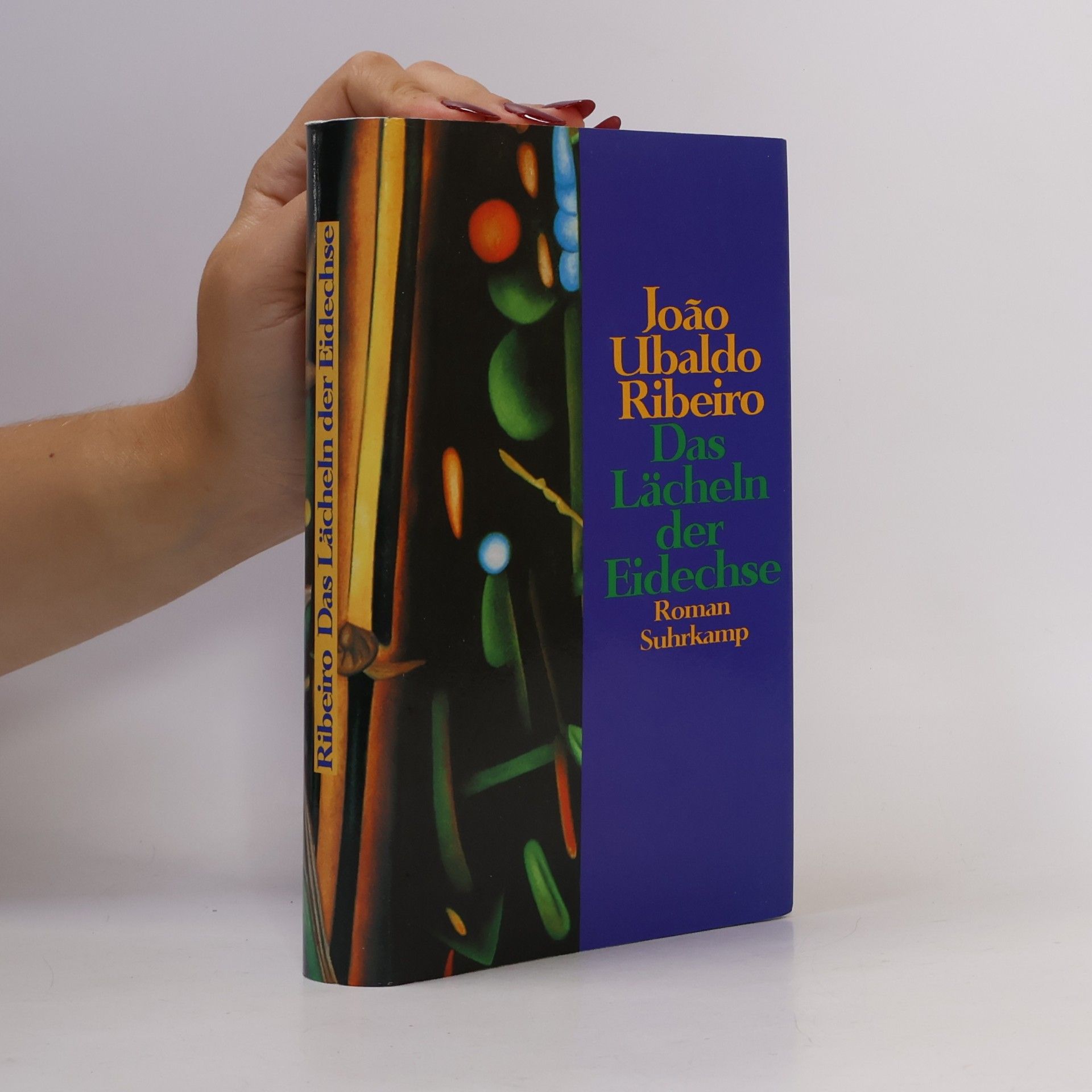 João Ubaldo Ribeiro Das Lächeln der Eidechse