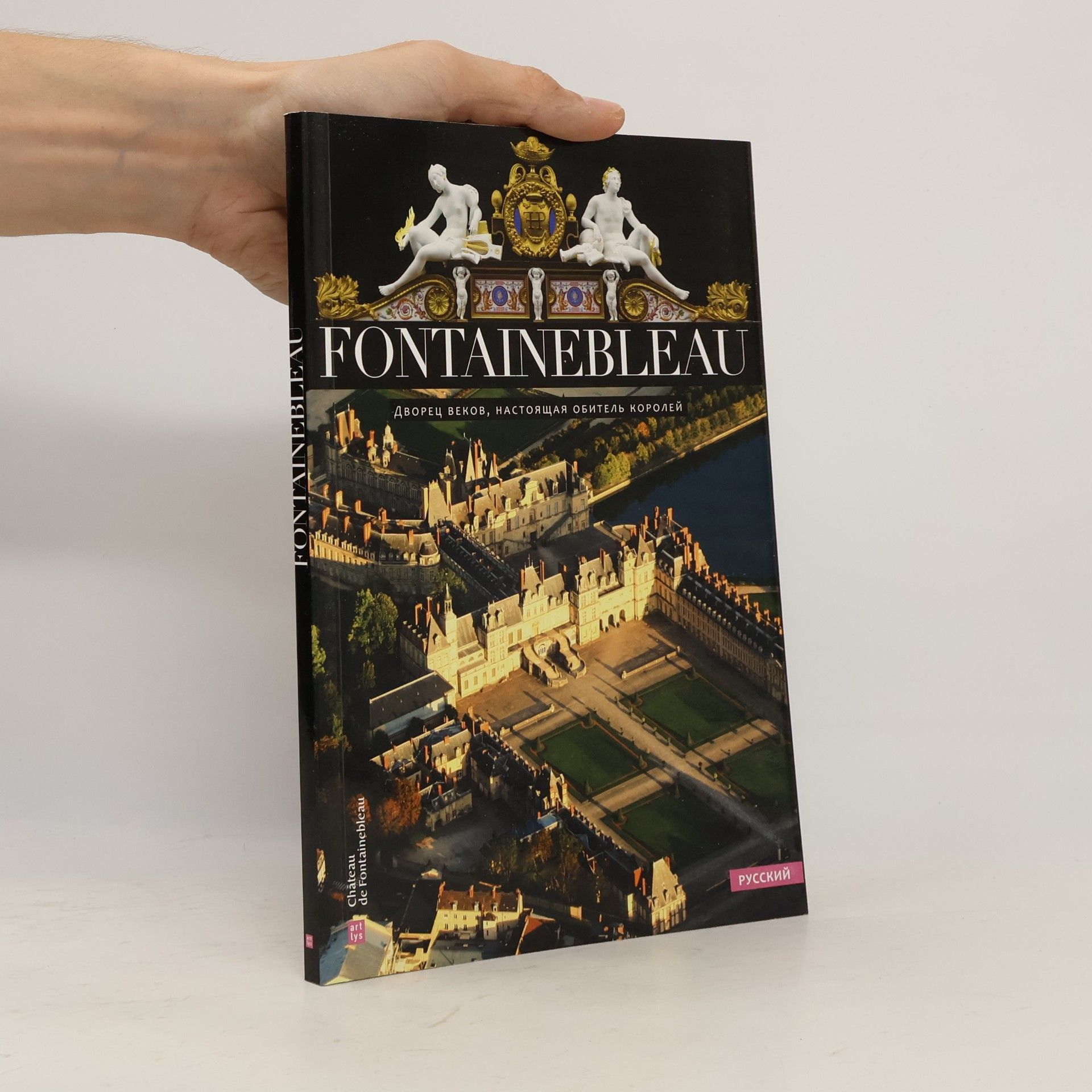 Винсент Коше Fontainebleau