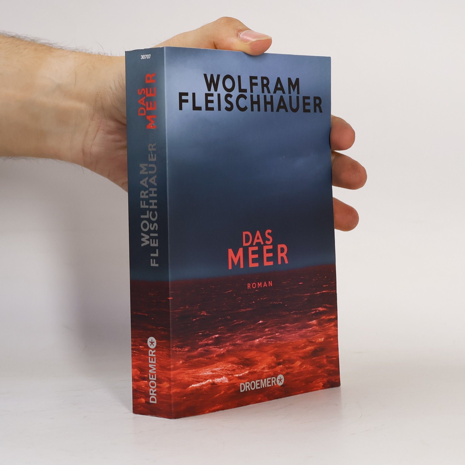 Wolfram Fleischhauer Das Meer