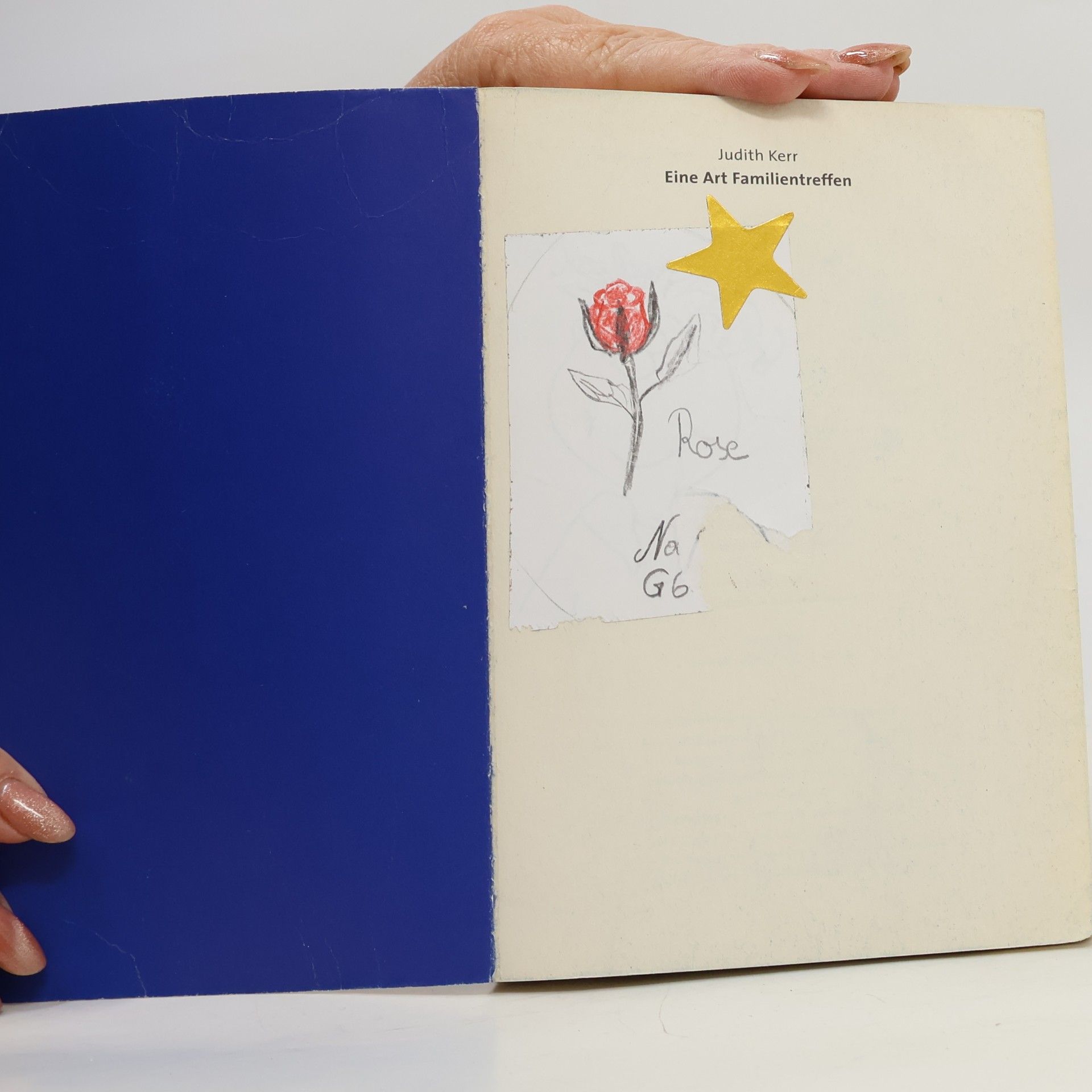 Judith Kerr Eine Art Familientreffen