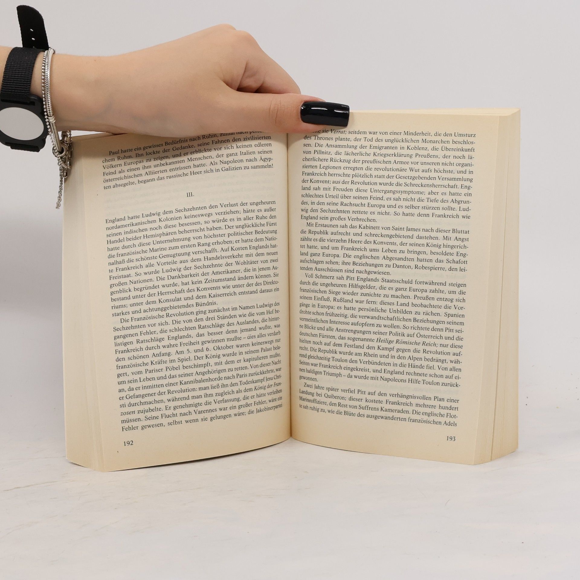 Autorenkollektiv Napoleon I. Meine ersten Siege 3