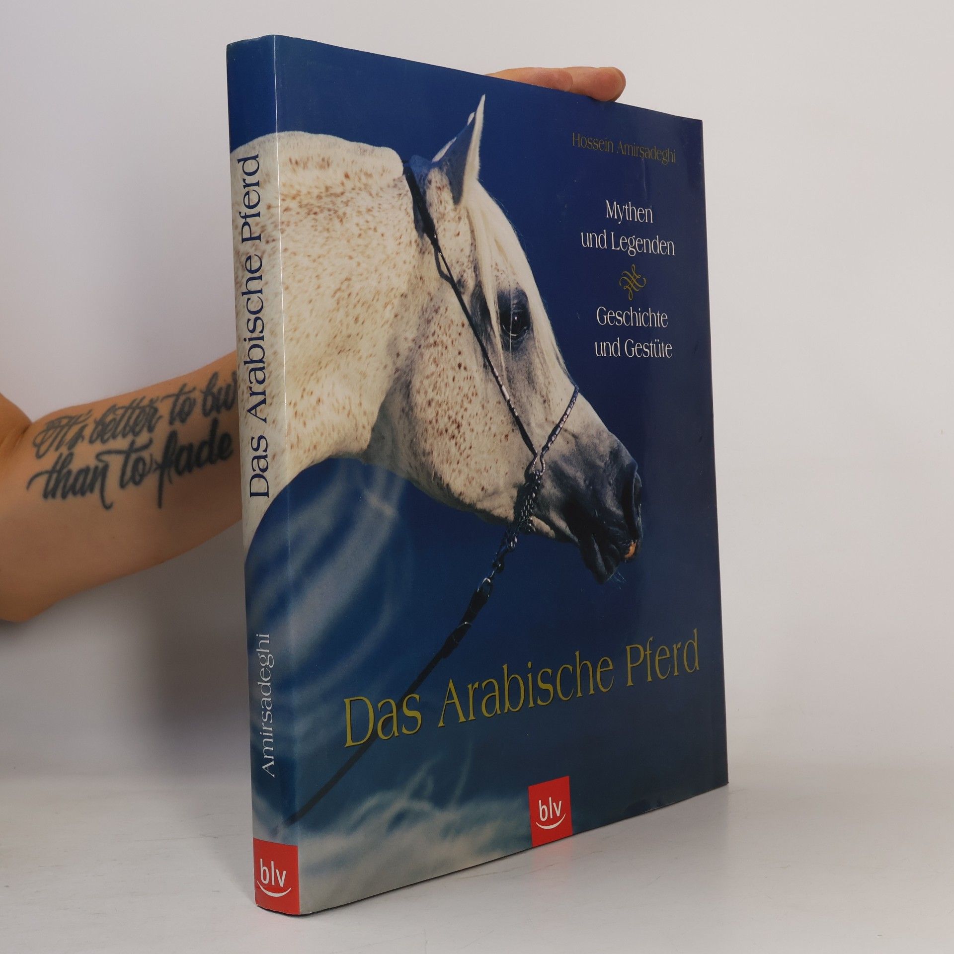 Hossein Amirsadeghi Das arabische Pferd
