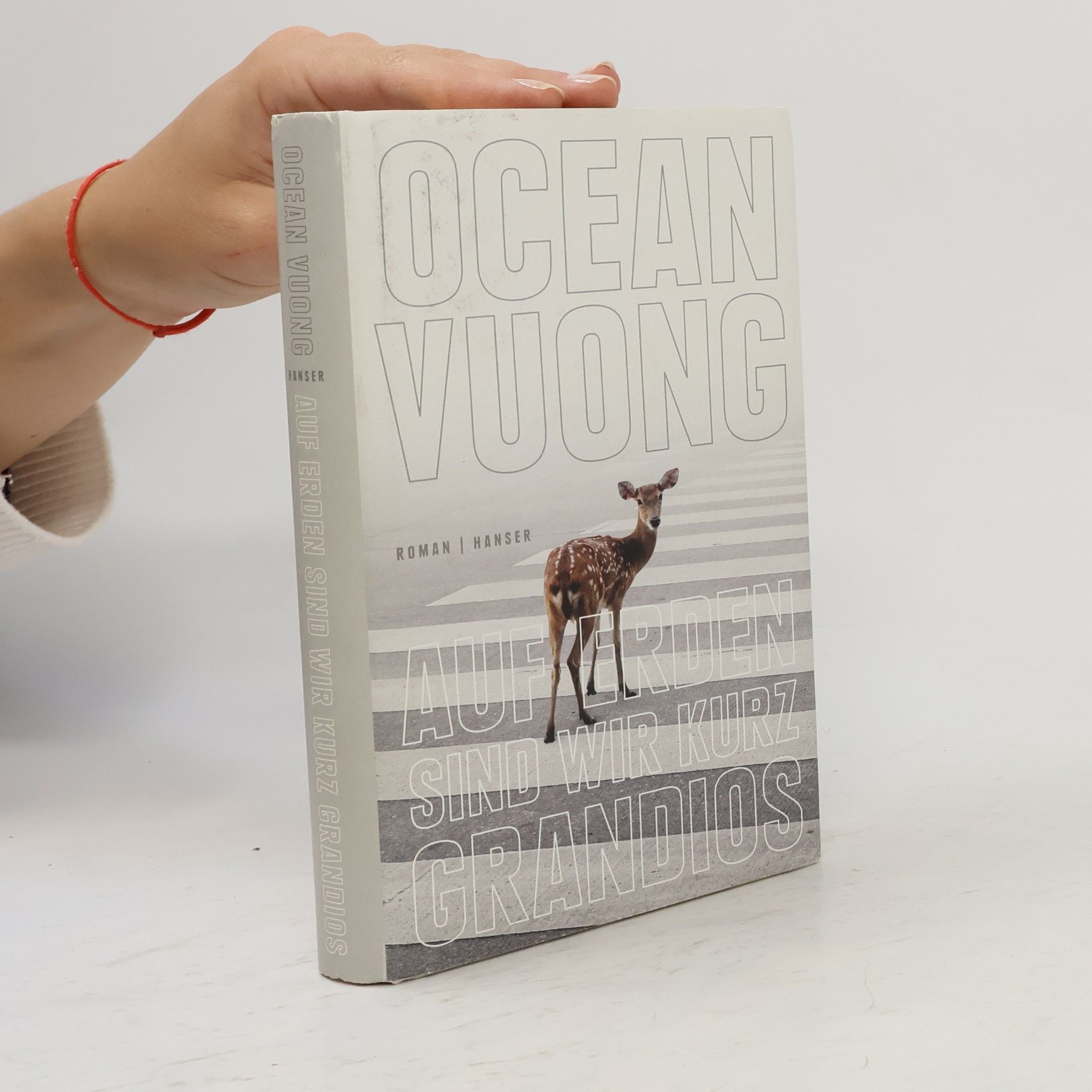 Ocean Vuong Auf Erden sind wir kurz grandios