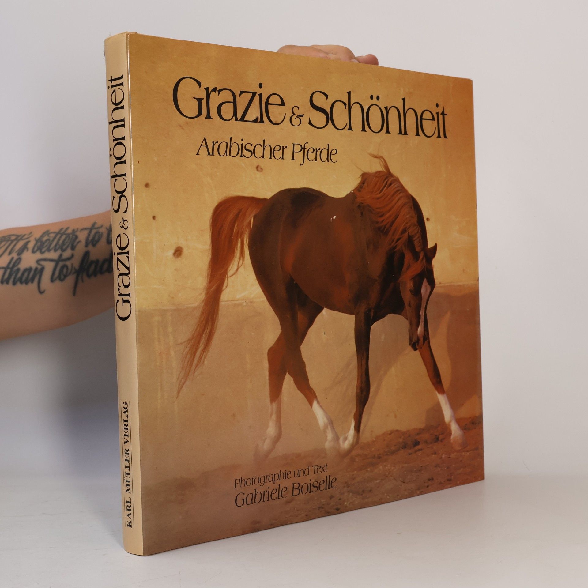 Grazie & Schönheit arabischer Pferde