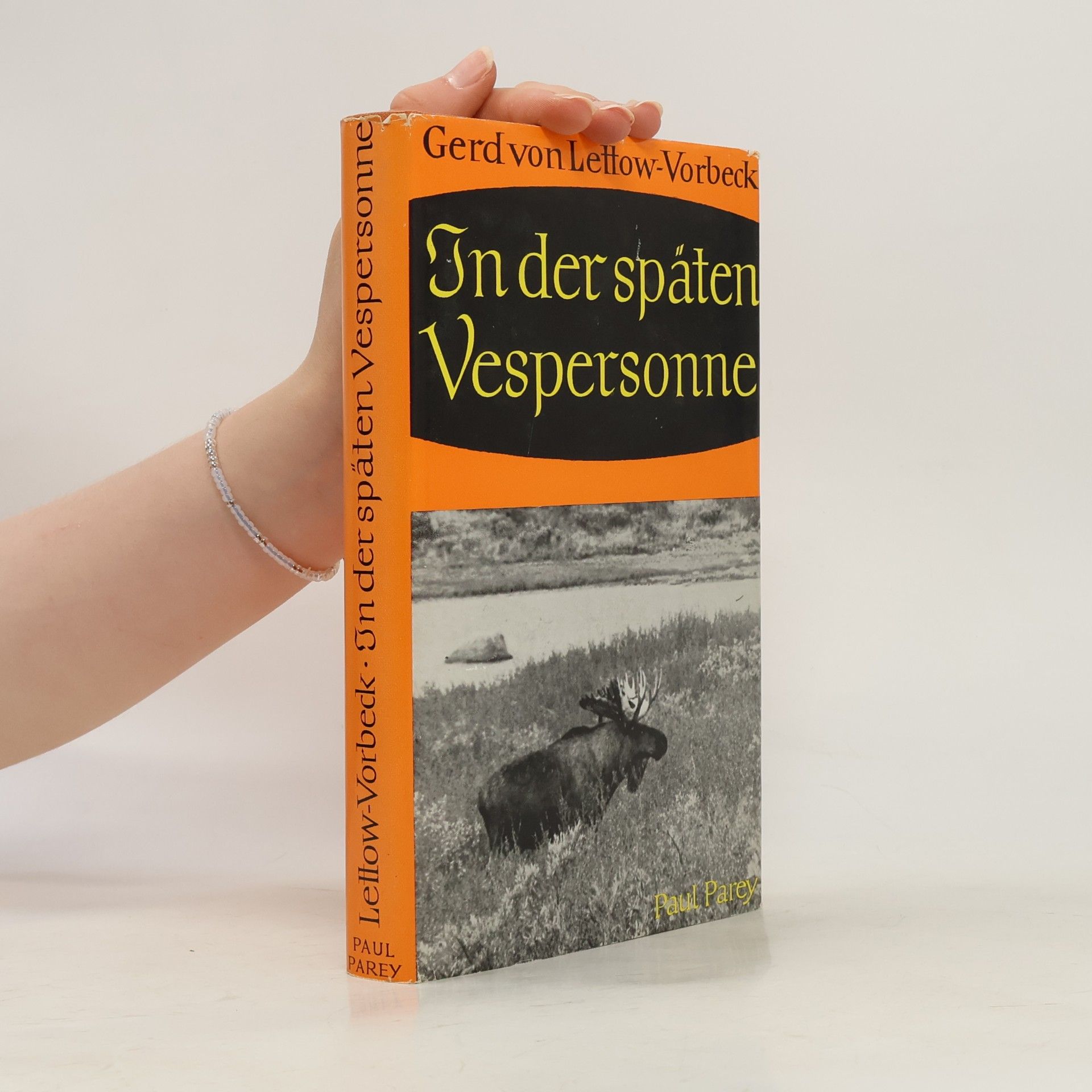 Gerd von Lettow-Vorbeck In der späten Vespersonne