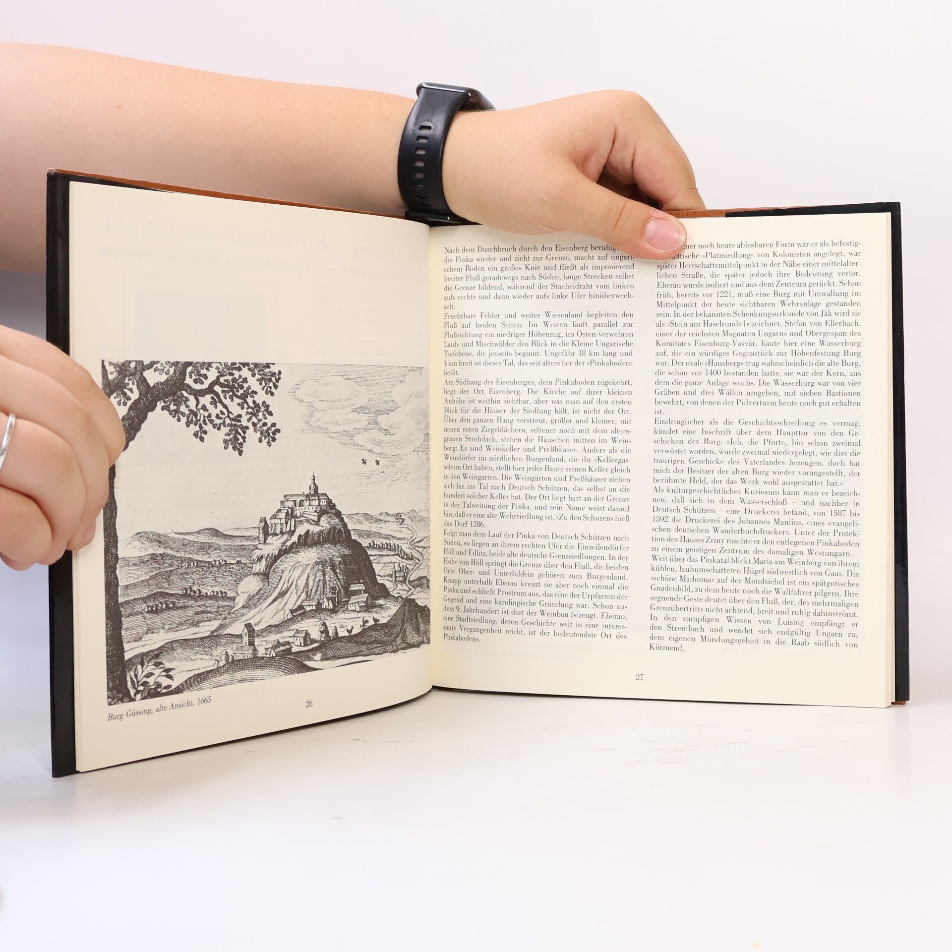 Various authors Südburgenland entdecken
