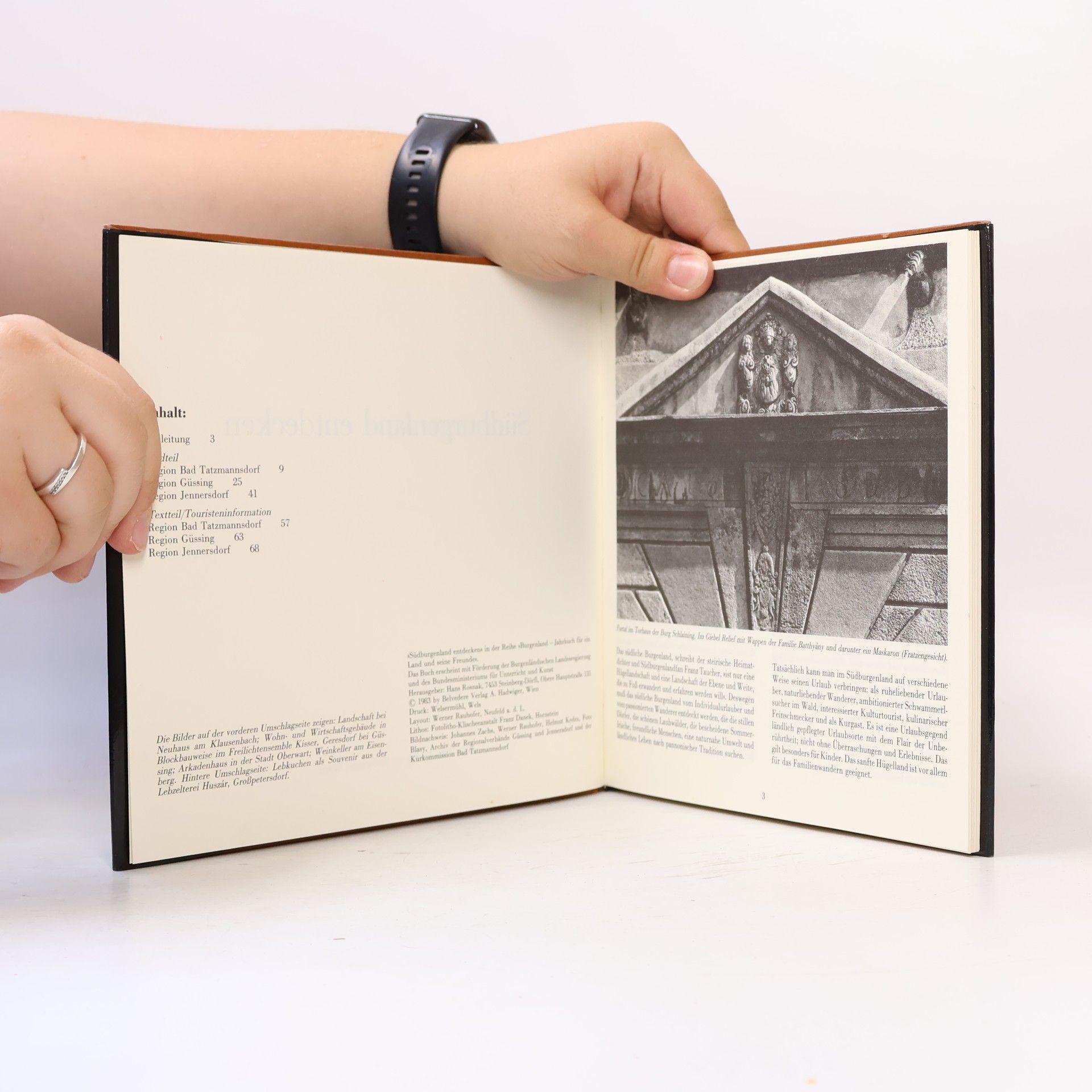 Various authors Südburgenland entdecken