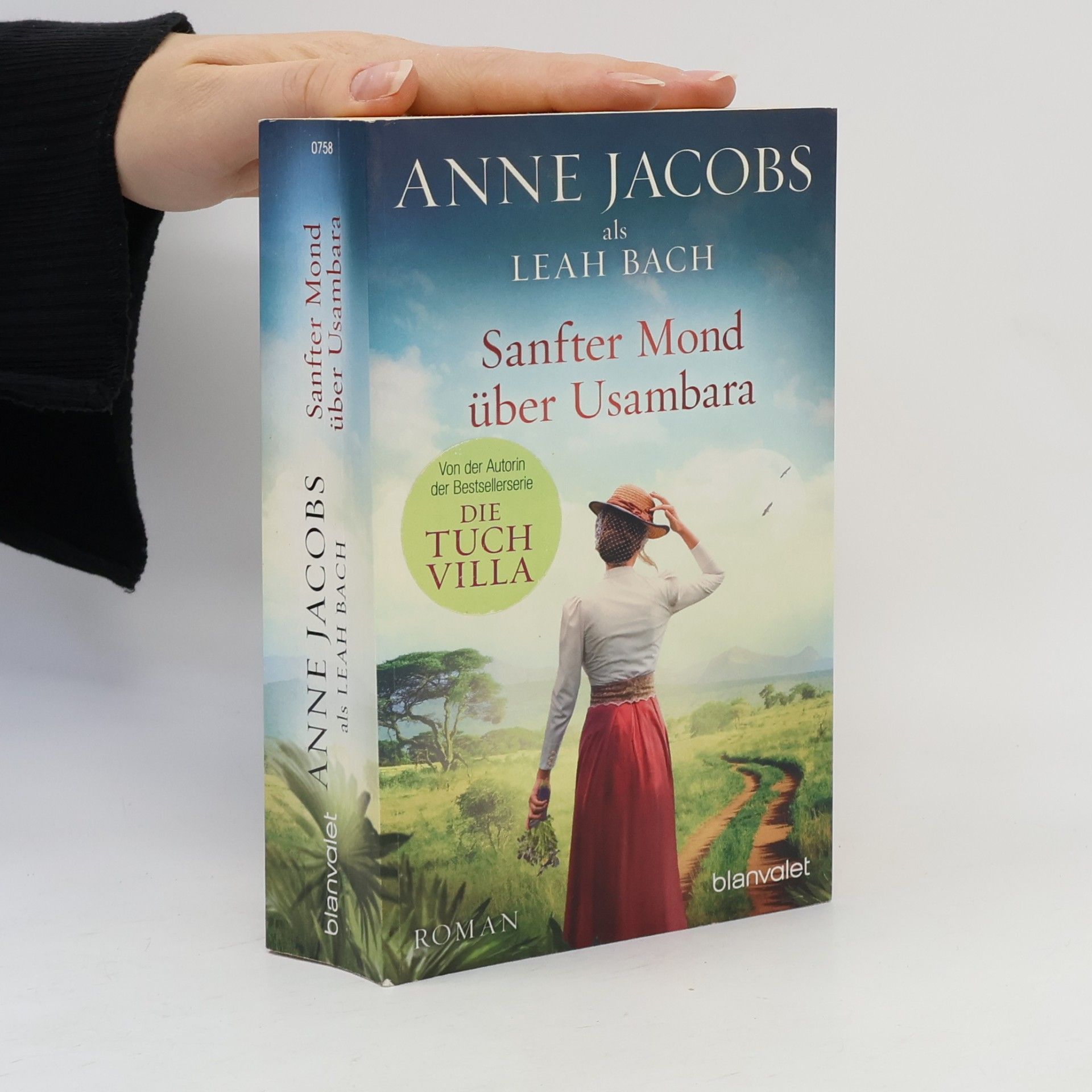 Anne Jacobs Sanfter Mond über Usambara
