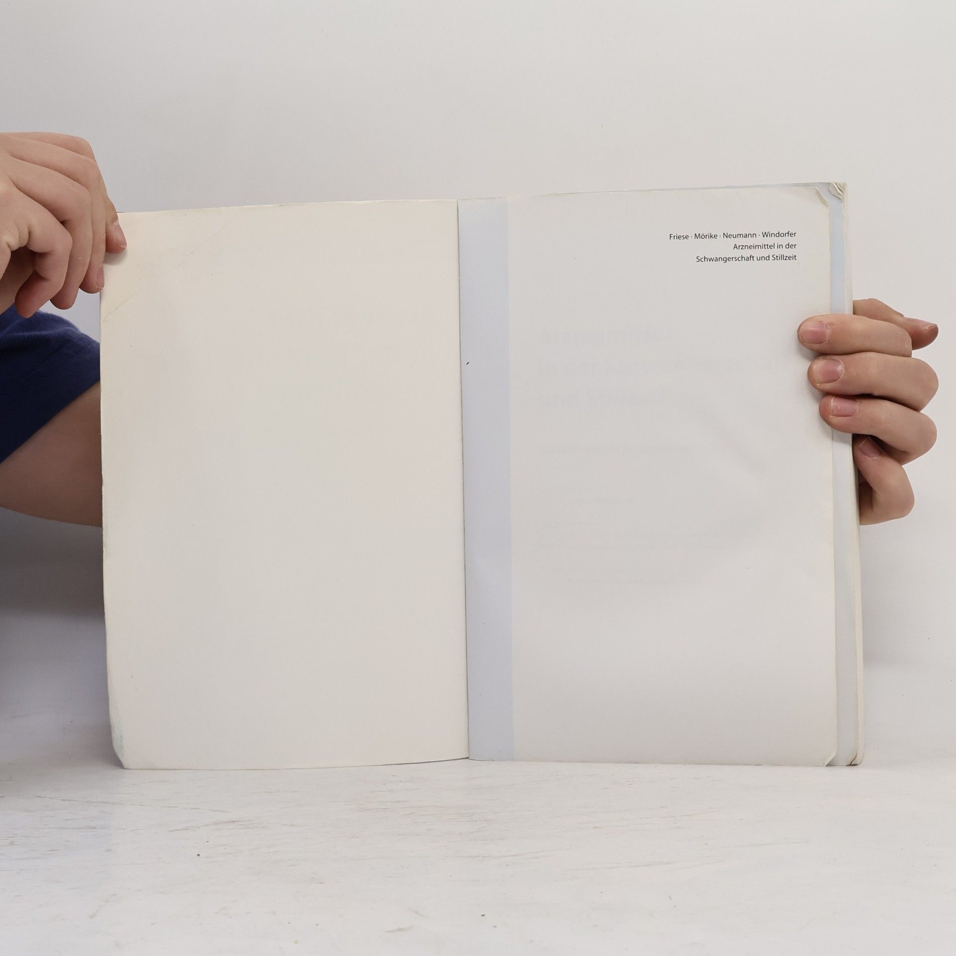 Klaus Friese Arzneimittel in der Schwangerschaft und Stillzeit