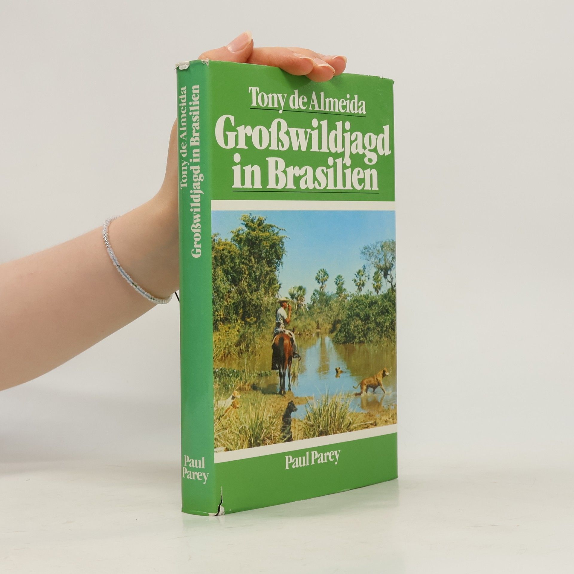Tony DeAlmeida Grosswildjagd in Brasilien