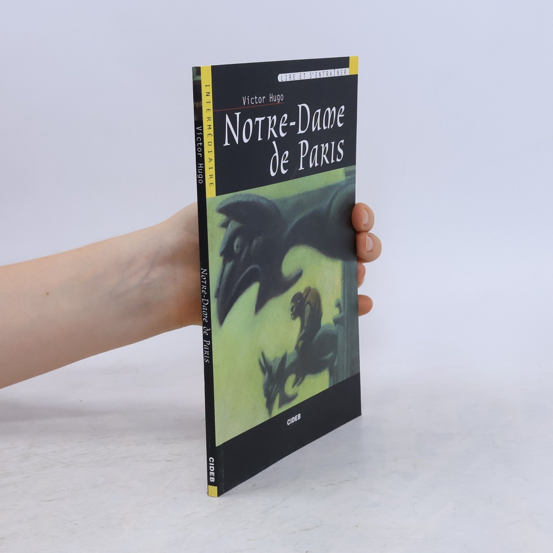 Lire et s'entraîner: Notre-Dame de Paris - Intermédiaire