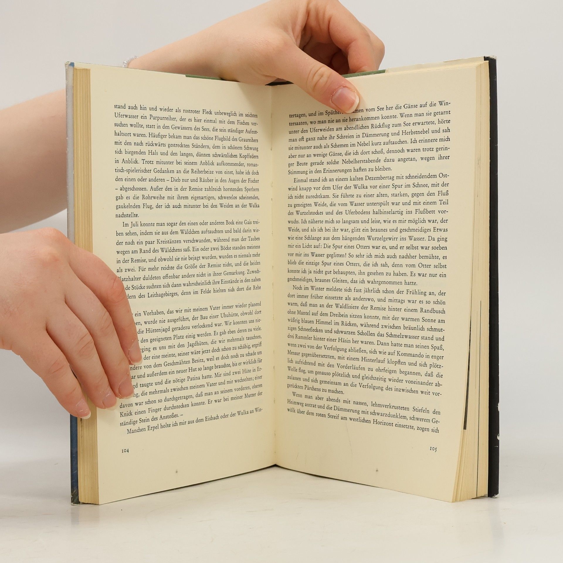 Wilhelm Schmiedl In Wald und Fels