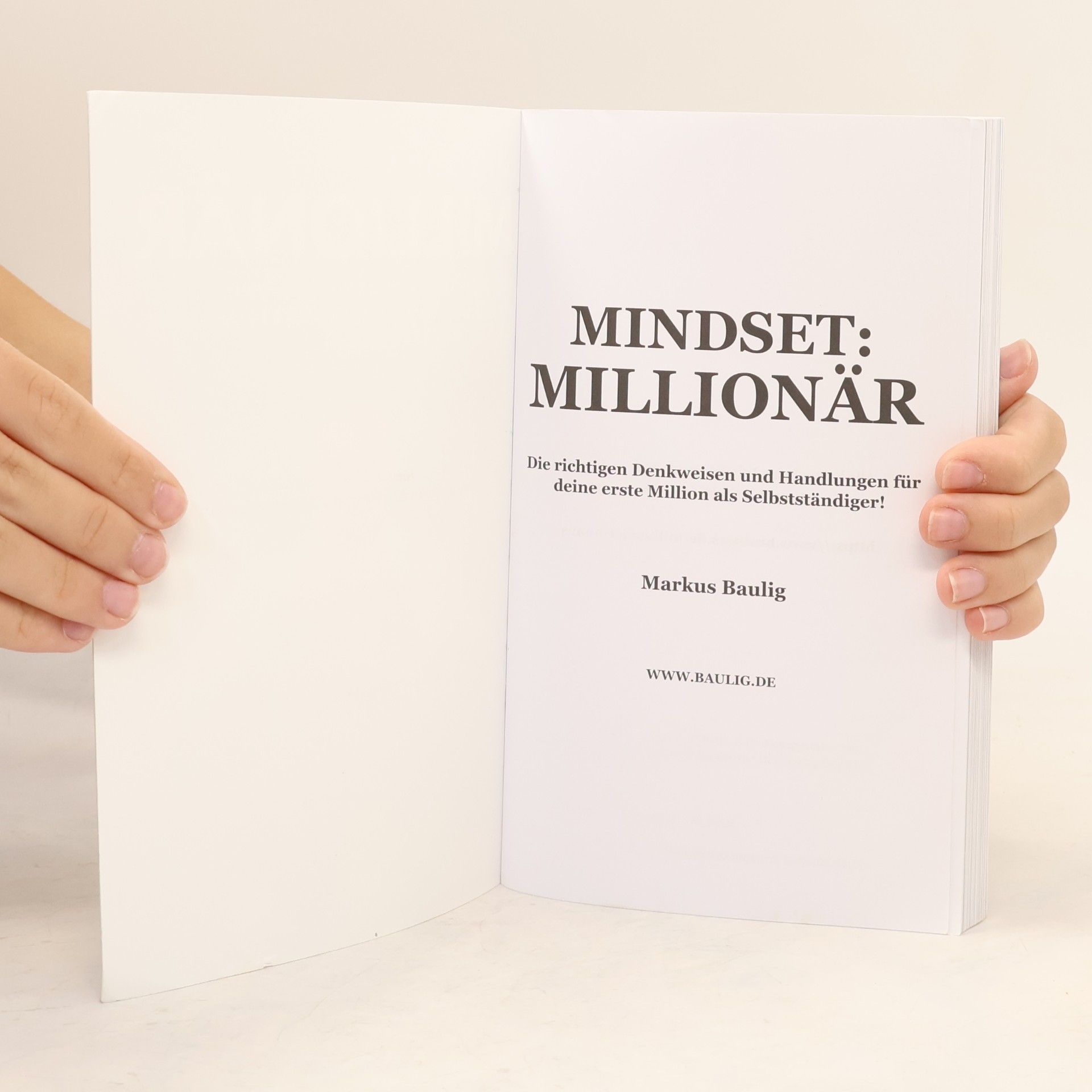Markus Baulig Mindset: Millionär