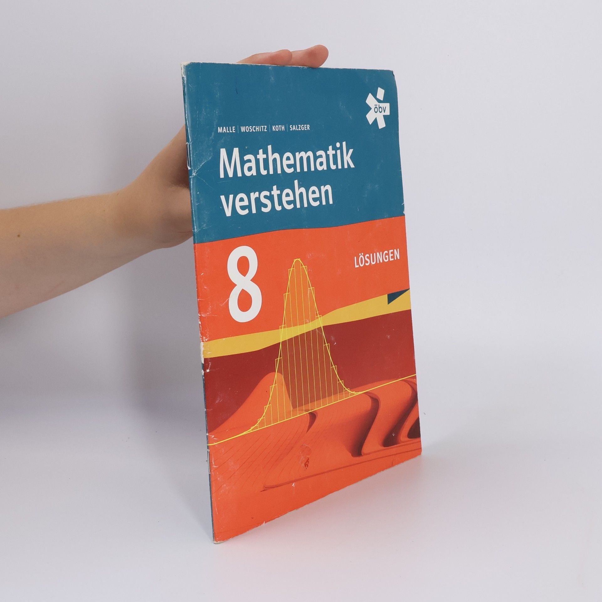 Helge Worschitz Mathematik verstehen 8 Lösungen