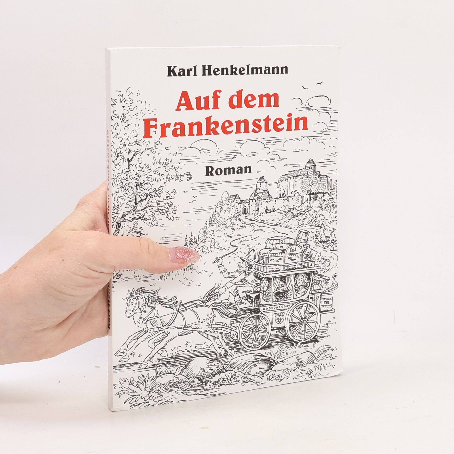Karl Henkelmann Auf dem Frankenstein