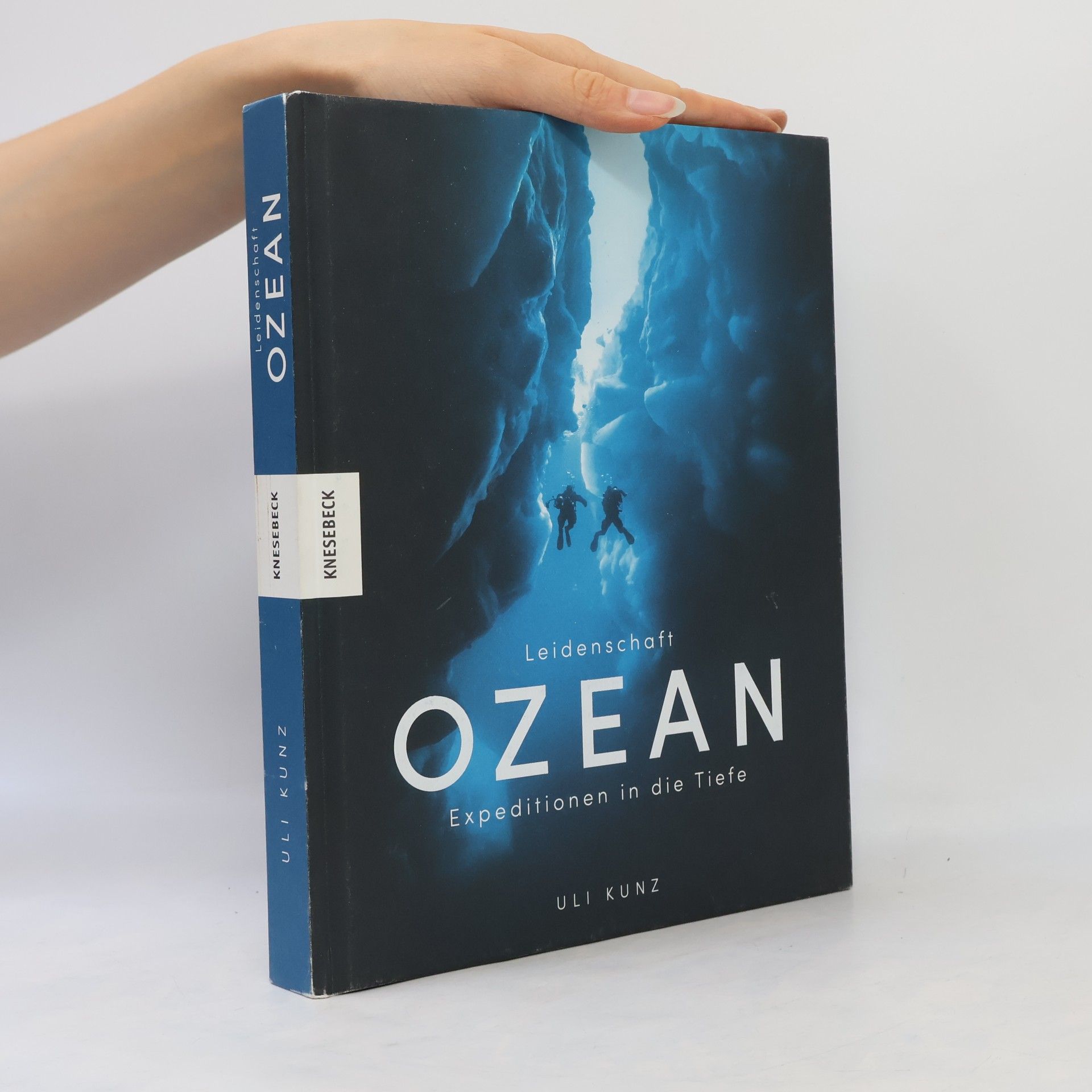 Uli Kunz Leidenschaft Ozean