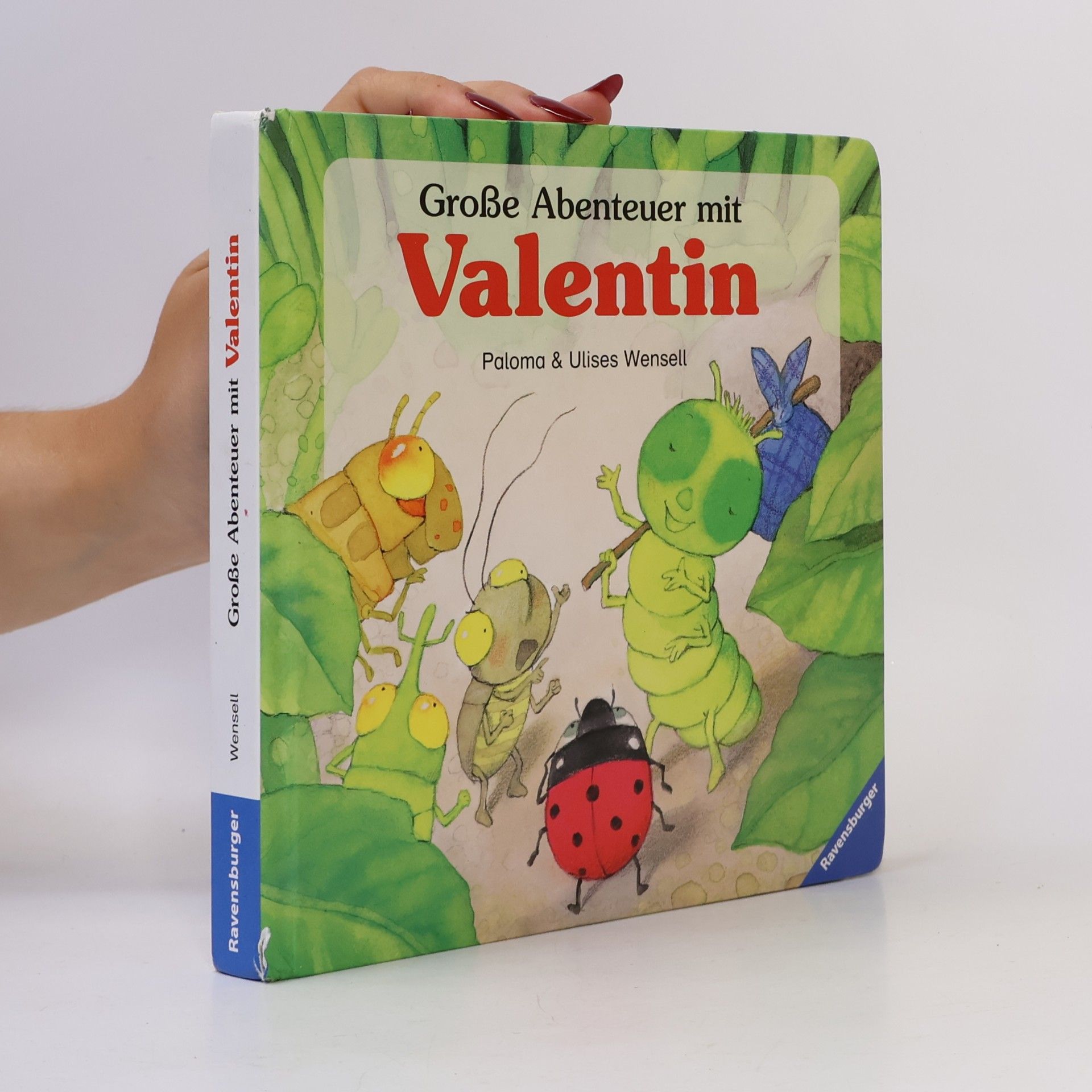 Paloma Wensell Große Abenteuer mit Valentin
